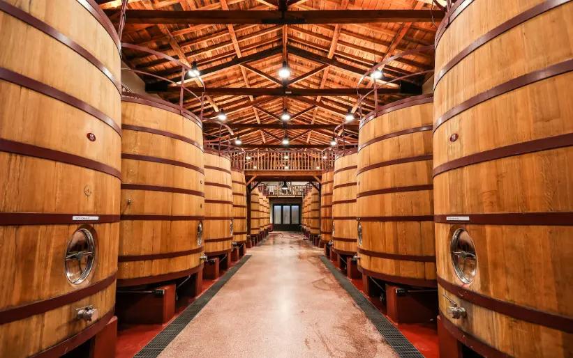 Grandes barricas de vino de madera en una sala de fermentación de bodega simétrica