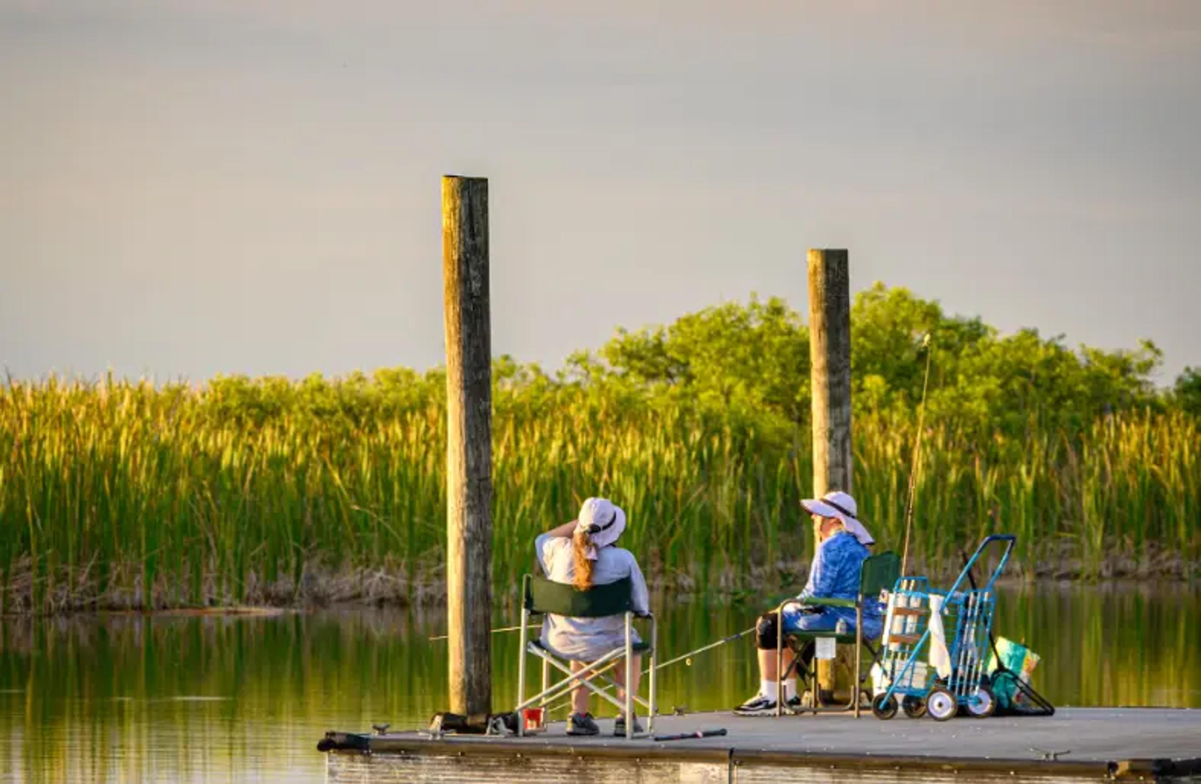 ter mais hóspedes felizes em passeios de airboat