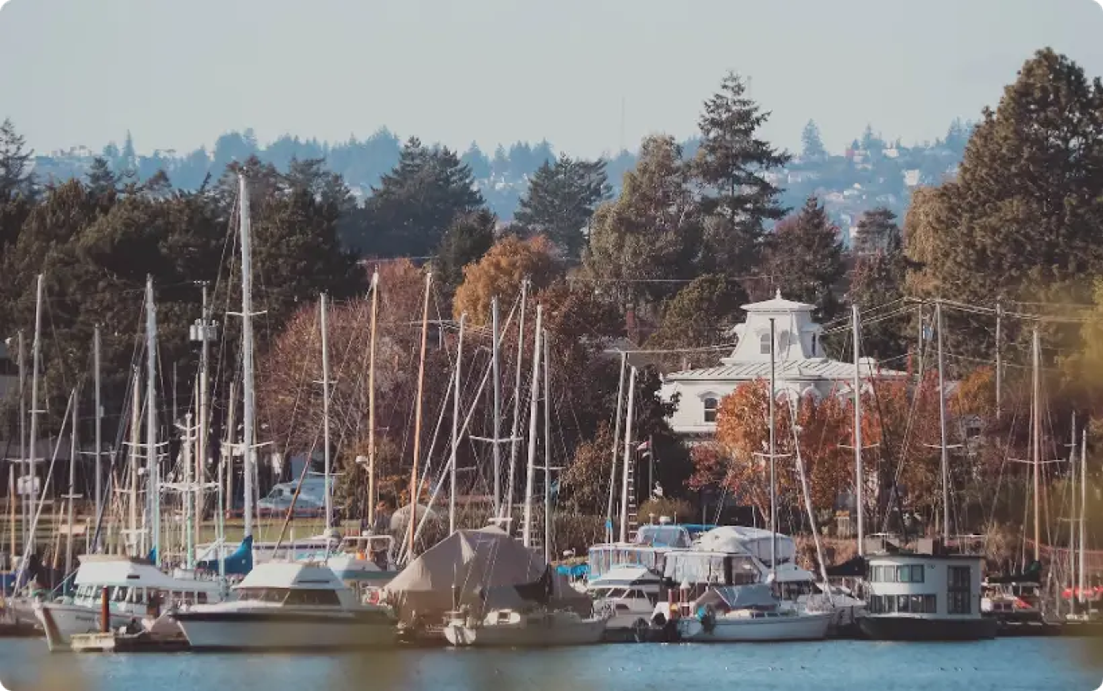 Marina fyldt med sejlbåde og yachts, træer og bygninger i baggrunden
