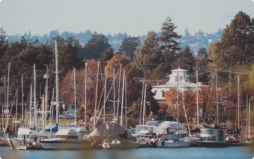 Marina piena di barche a vela e yacht, alberi e edifici sullo sfondo