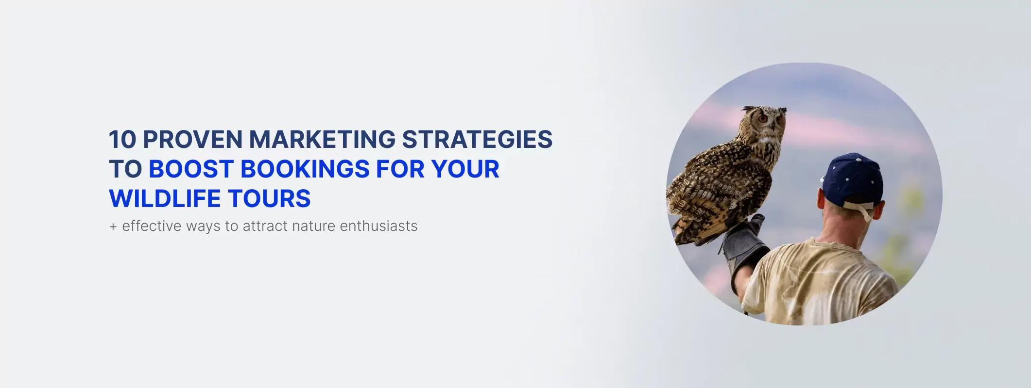 10 effektive Marketingstrategien für Naturtouren für Wildtiertouren