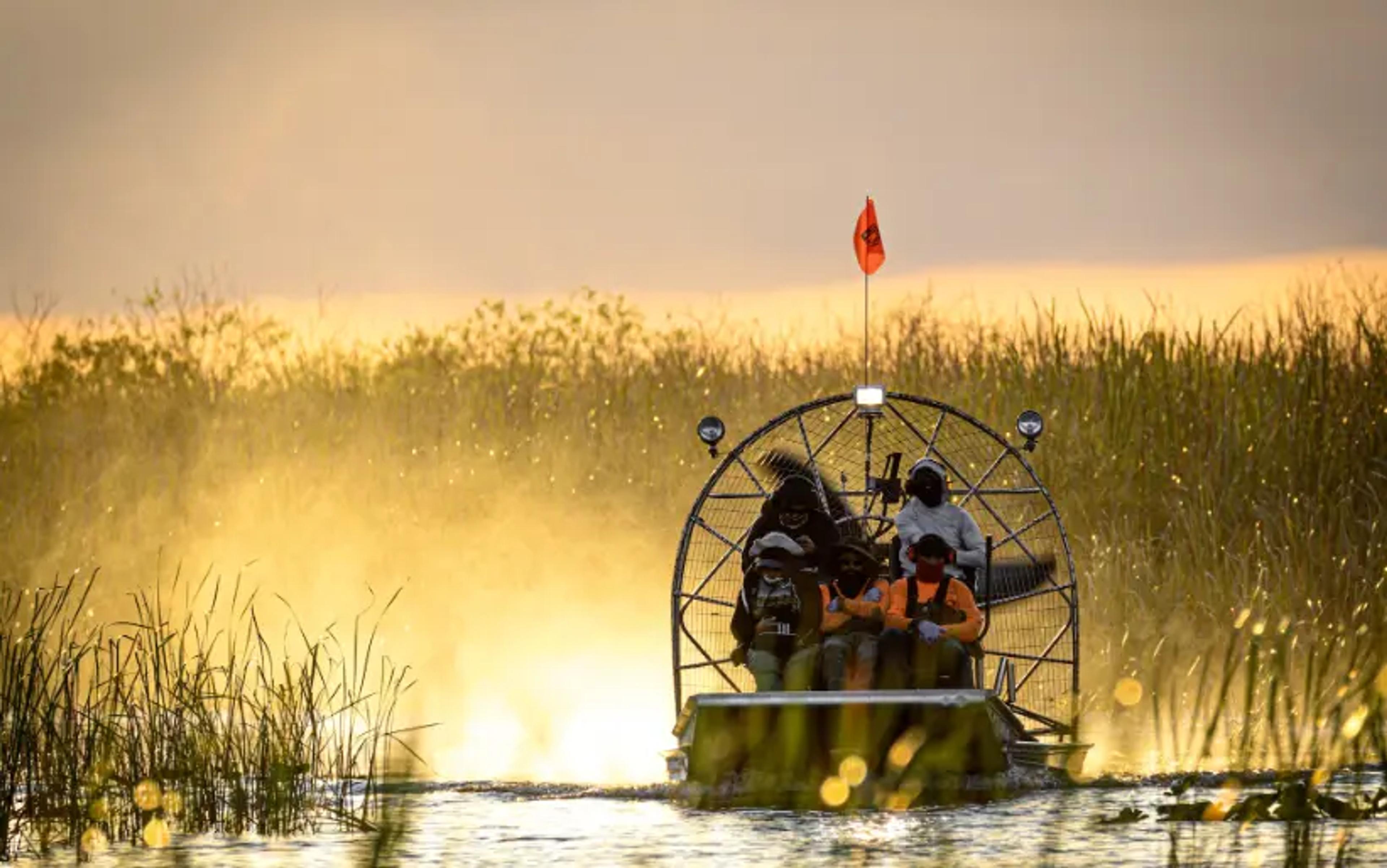 vereenvoudig airboat tour operaties