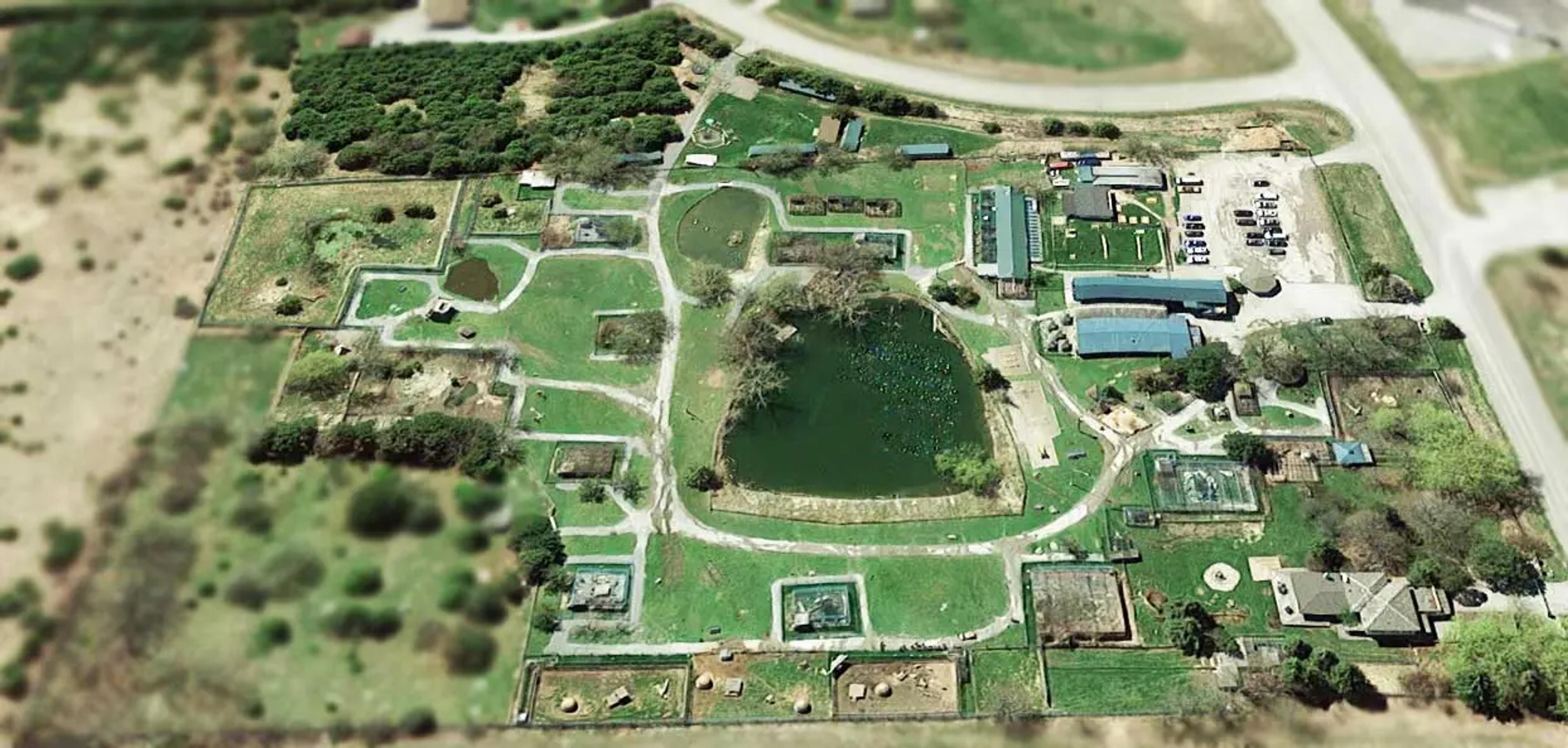 jungle cat world aerial view