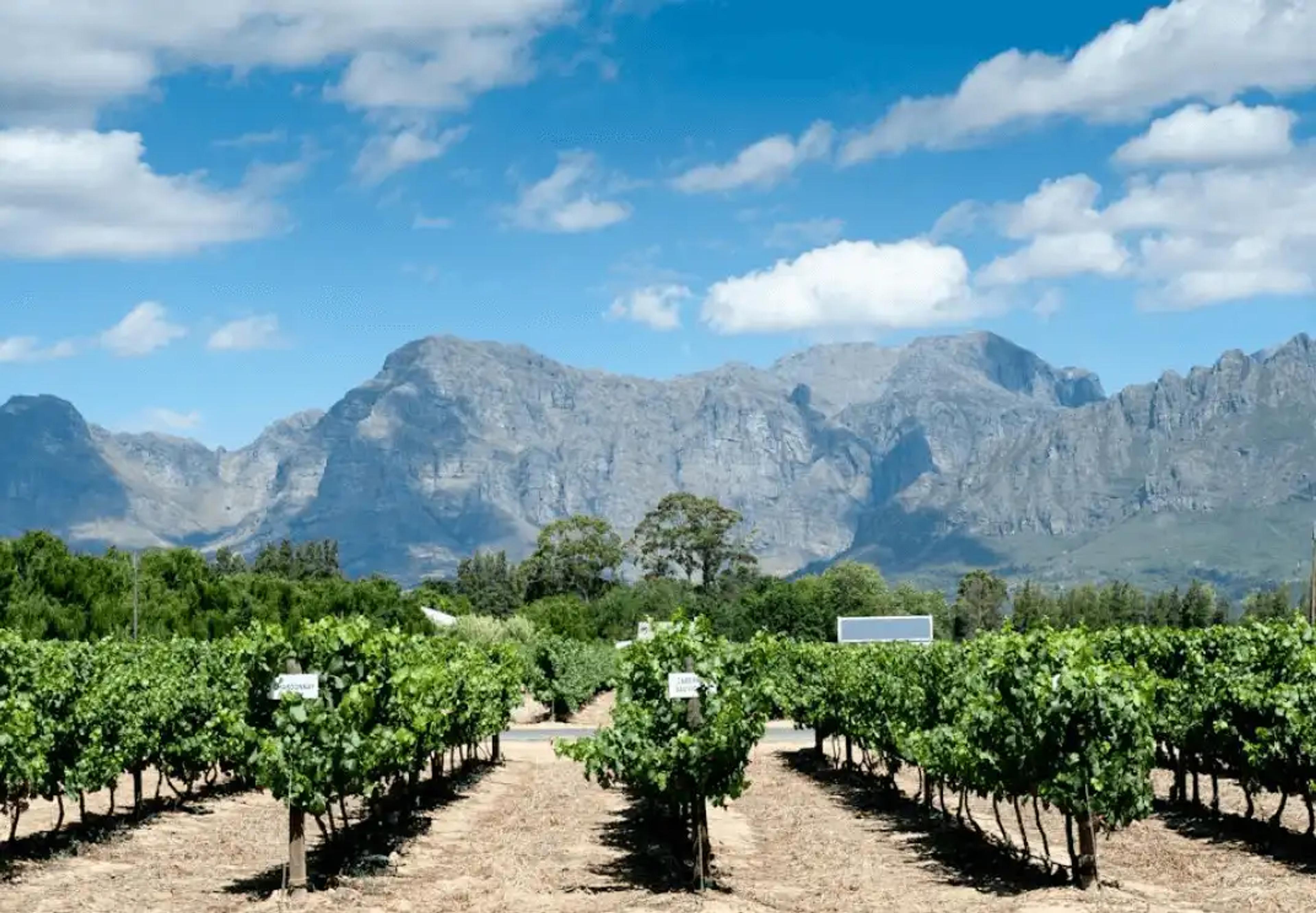 online bookings winery wineries create visit bookings