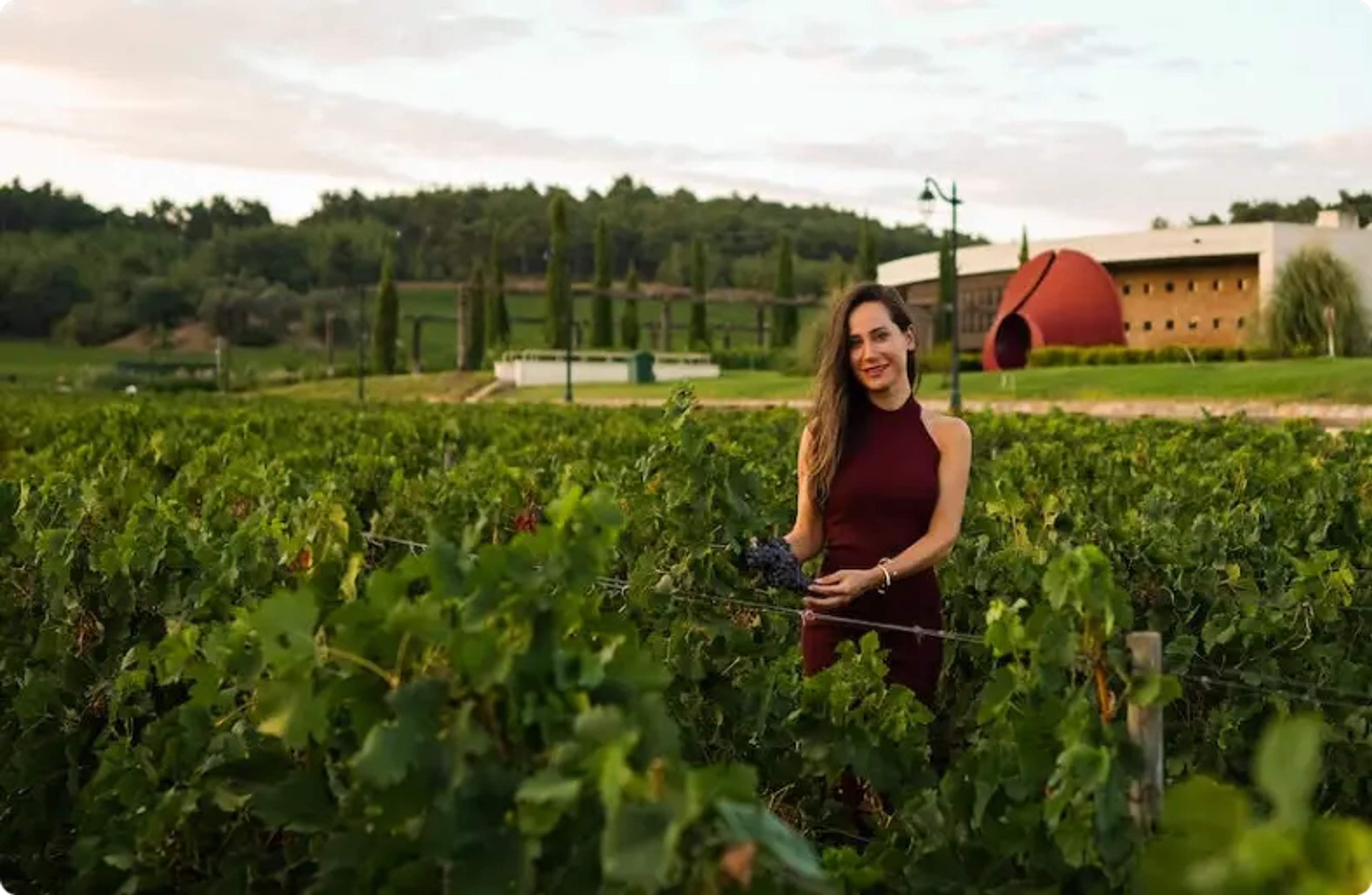 convidado do tour de vinhos sorrindo