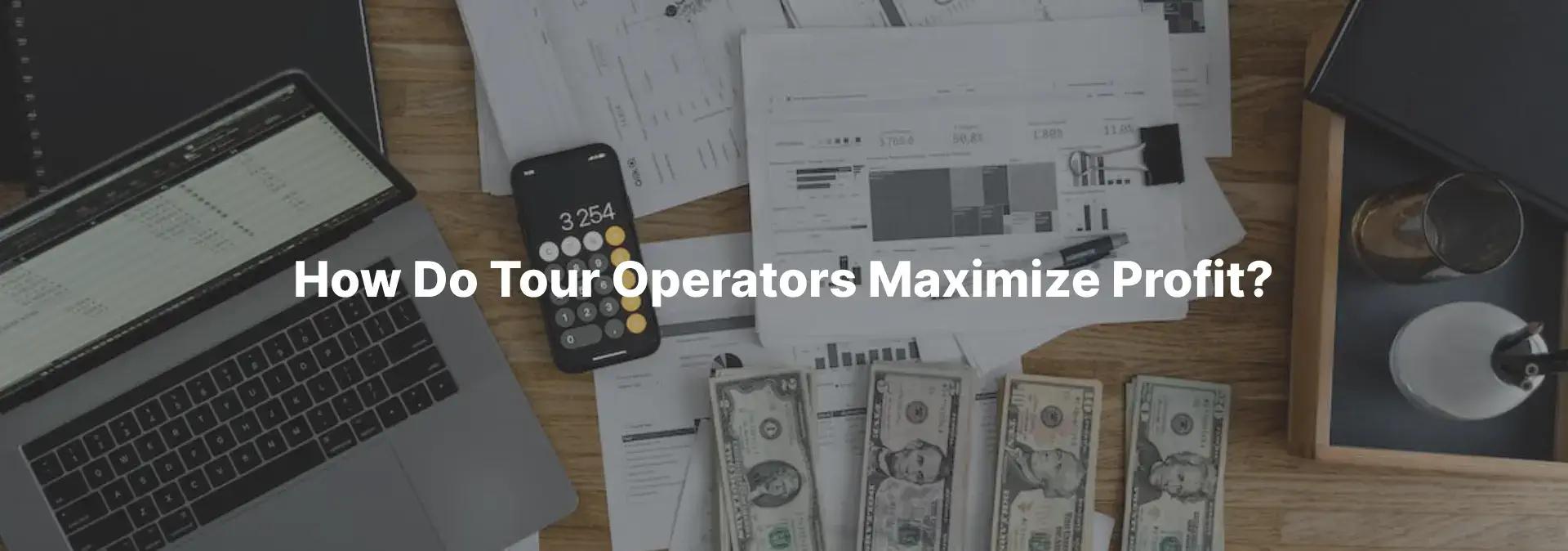 How Do Tour Operators Maximize Profit? | TicketingHub