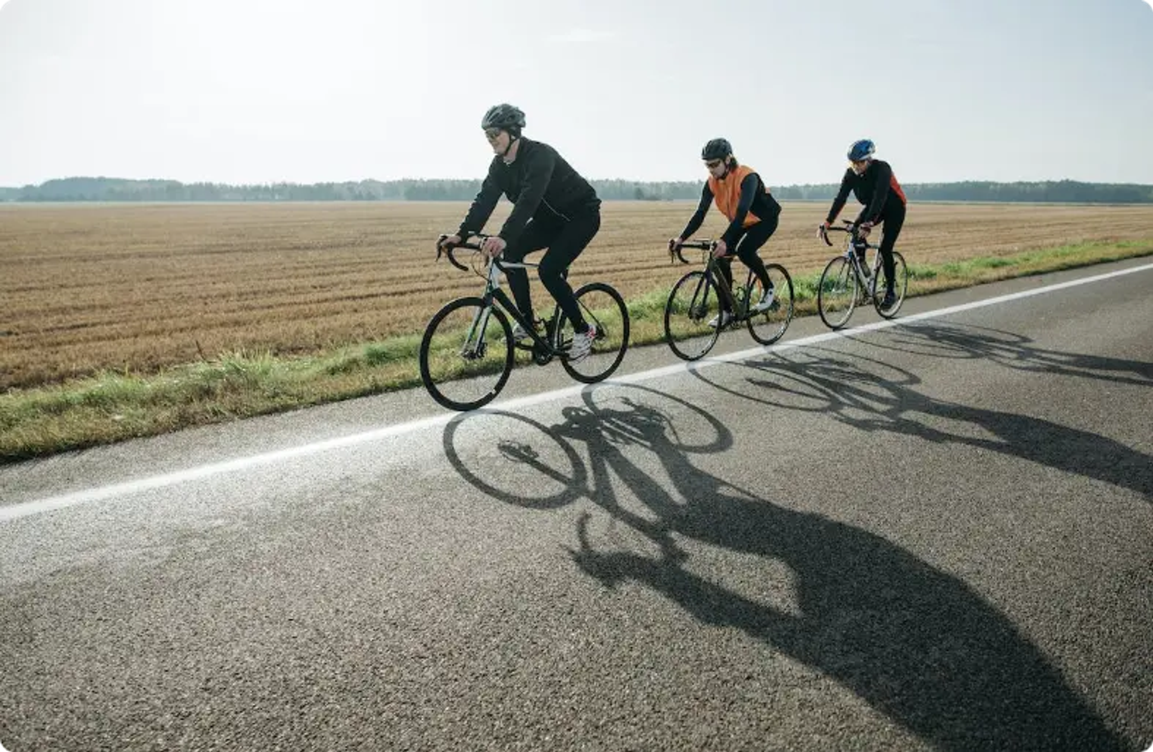 bike tour guests