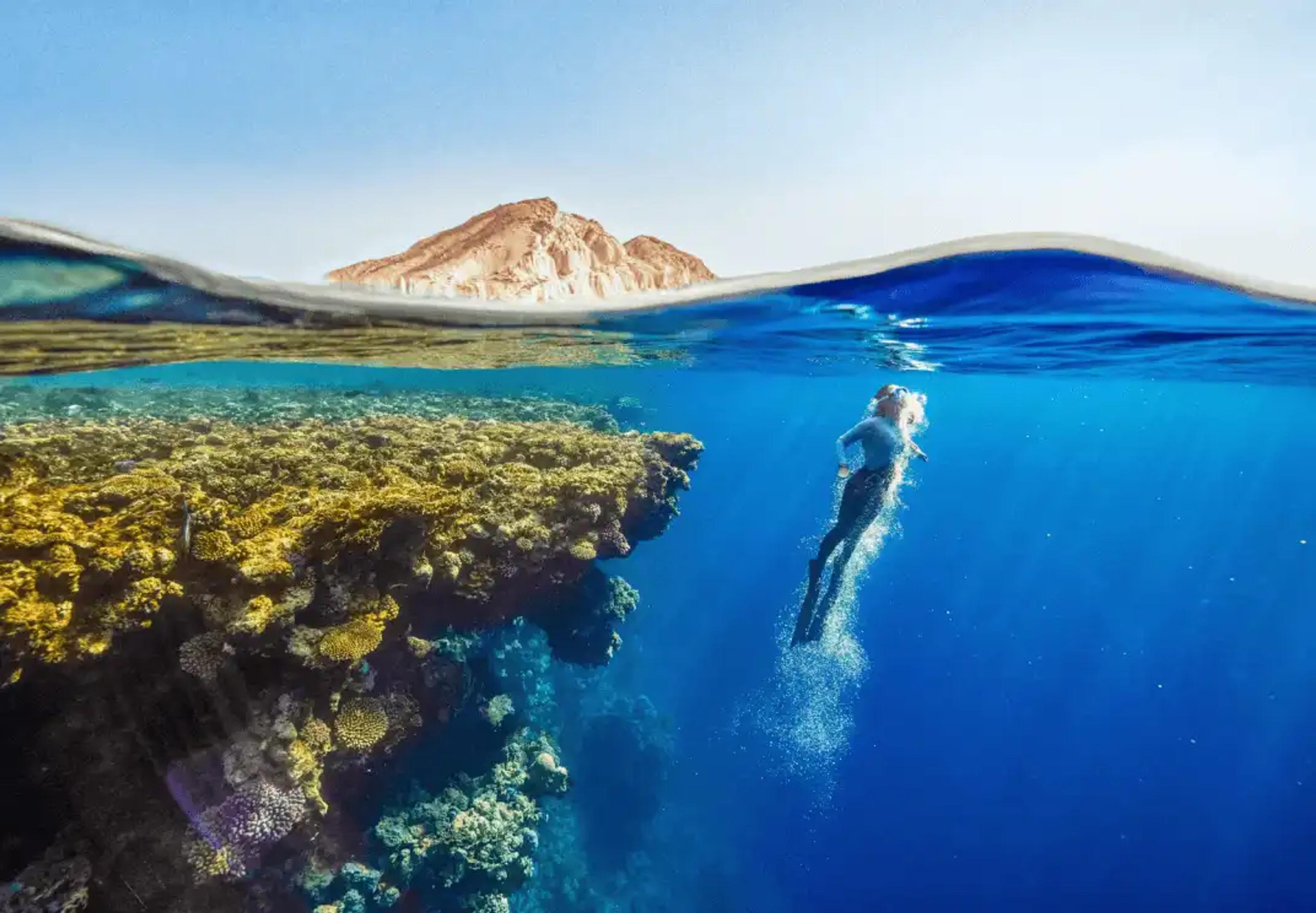 partner with local diving instructors to offer packages