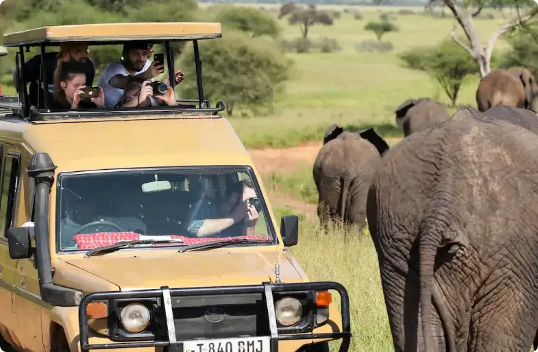 Safari jeep with tourists photographing elephants in African savanna