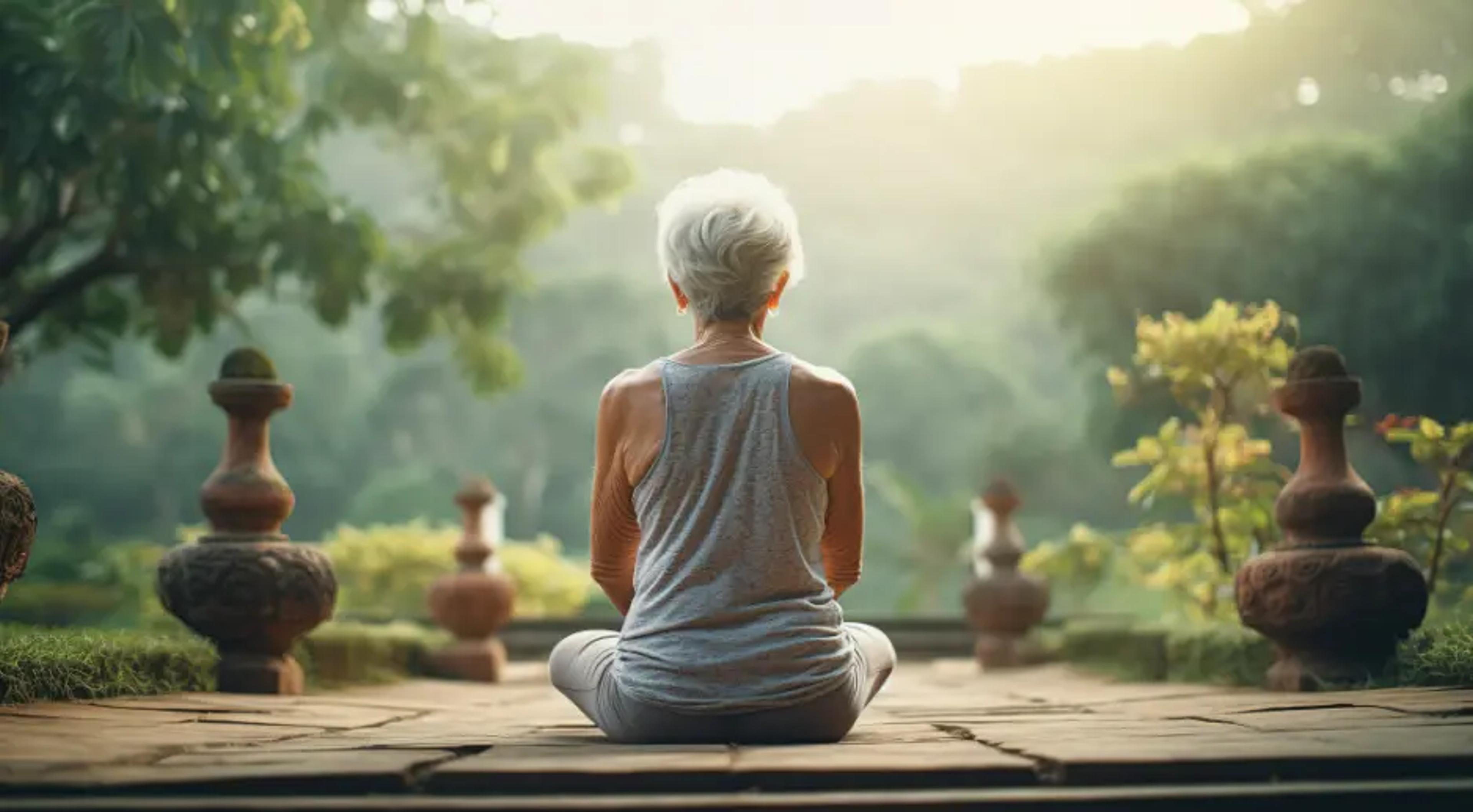 wellness travel niche for senior travelers