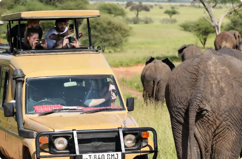 Safari jeep with tourists photographing elephants in African savanna