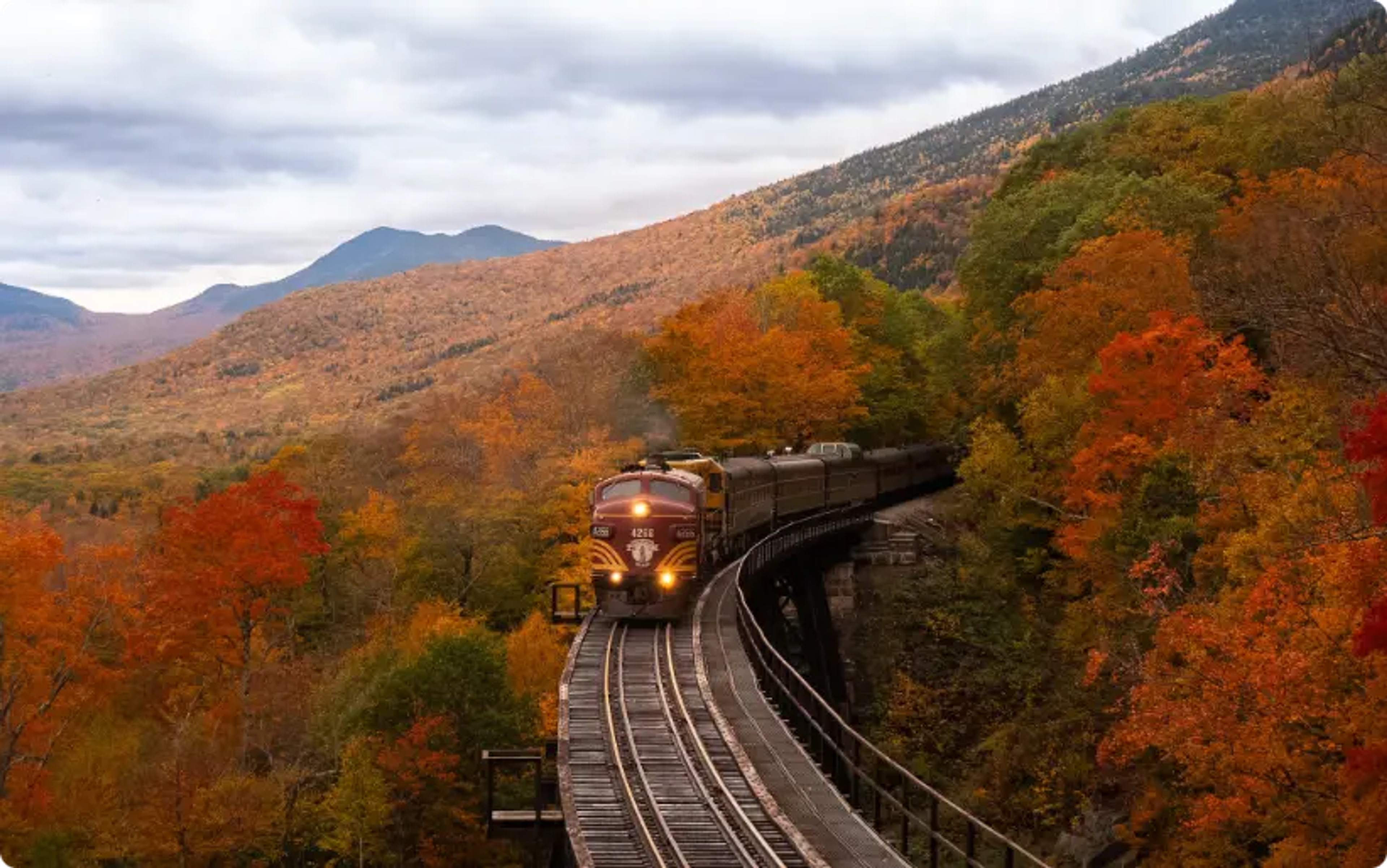 treno arancione tra alberi autunnali, ferrovie panoramiche