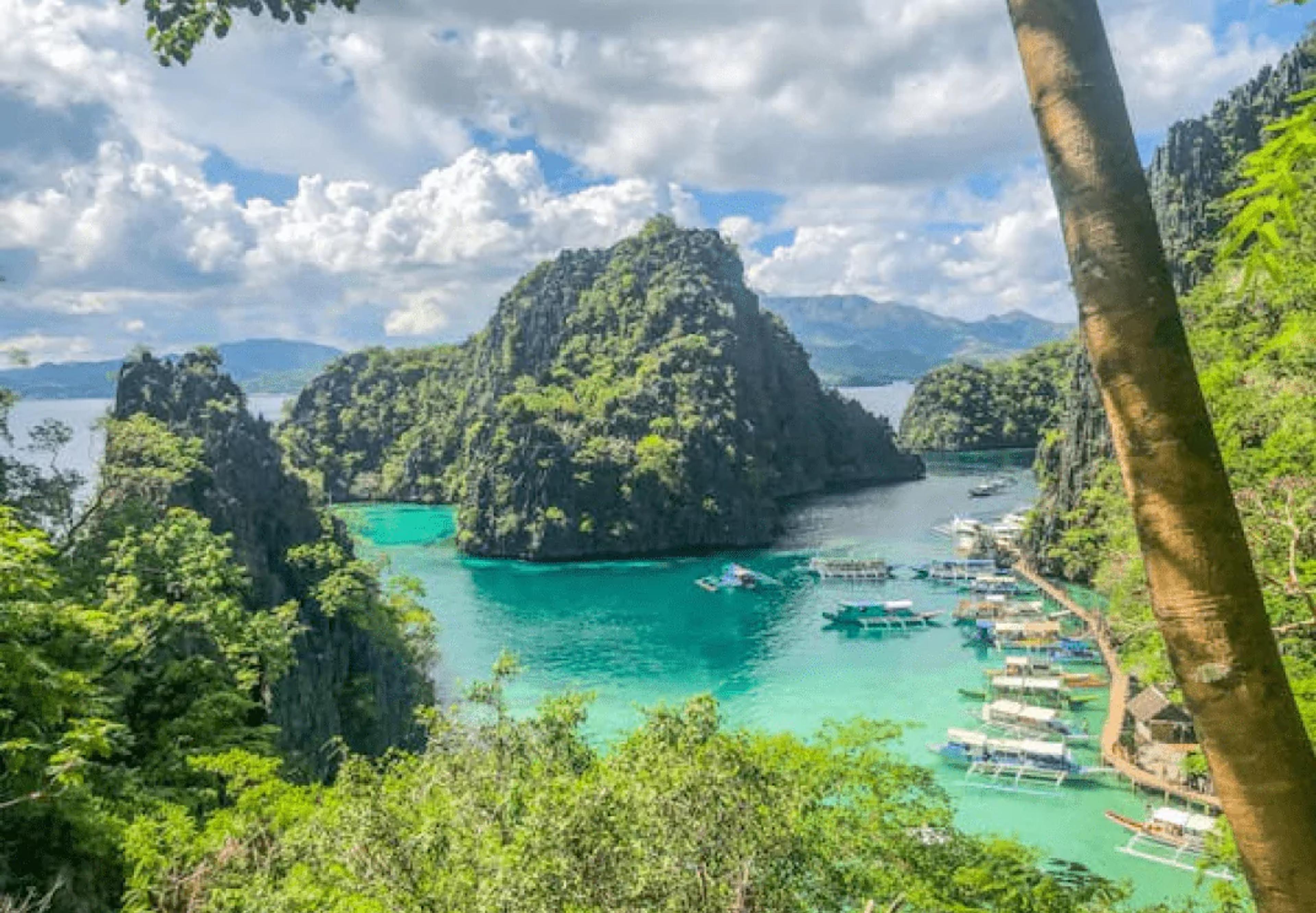 motore di prenotazione, agenti di viaggio, operatori turistici, prenotazione online, sistema di prenotazione online, pacchetti turistici, software di prenotazione, gestire prenotazioni, agenzie di viaggio