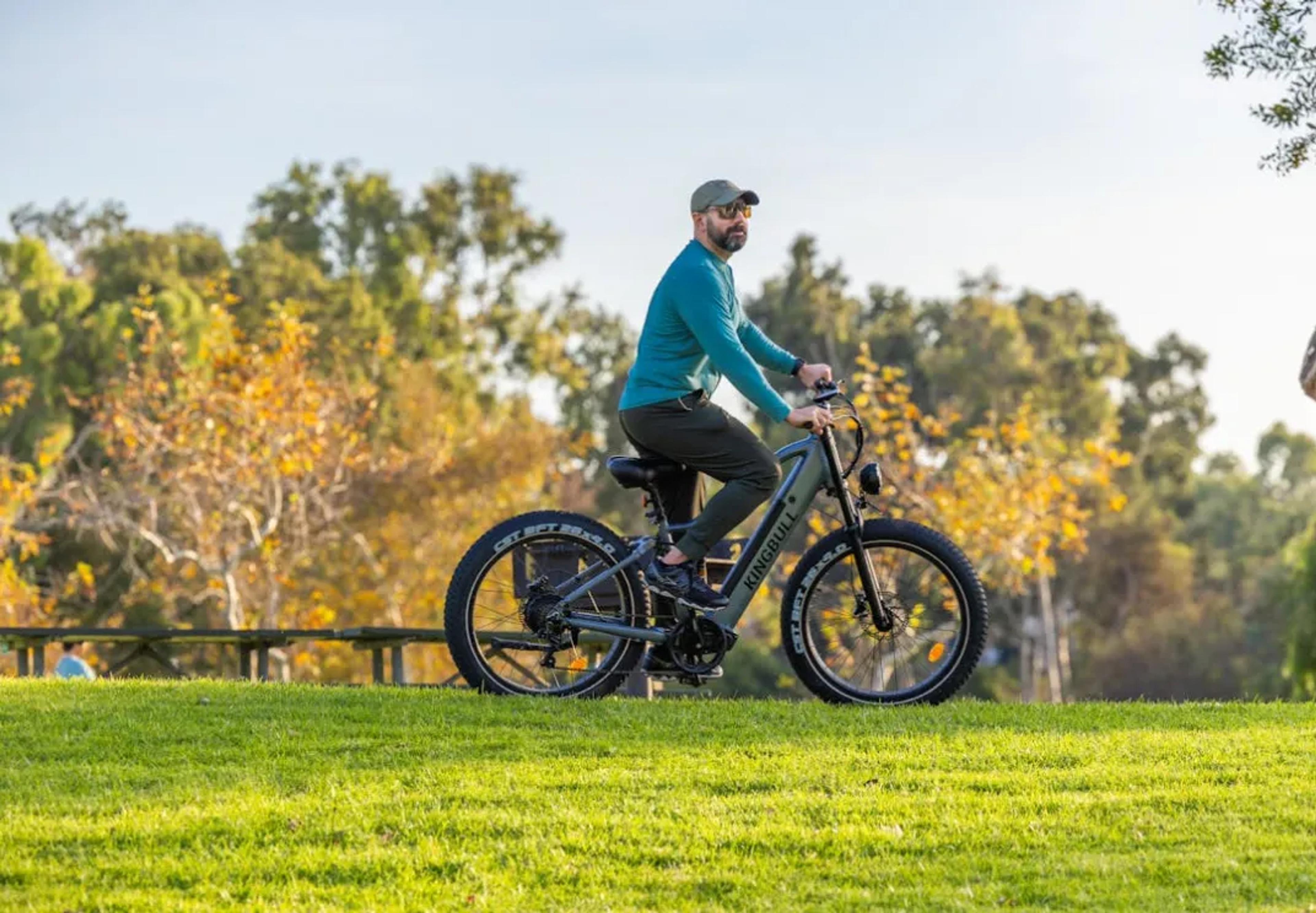 電動自転車レンタル、ポジティブな評価を獲得、定期的に評価を実施、急速な成長、環境に優しい側面
