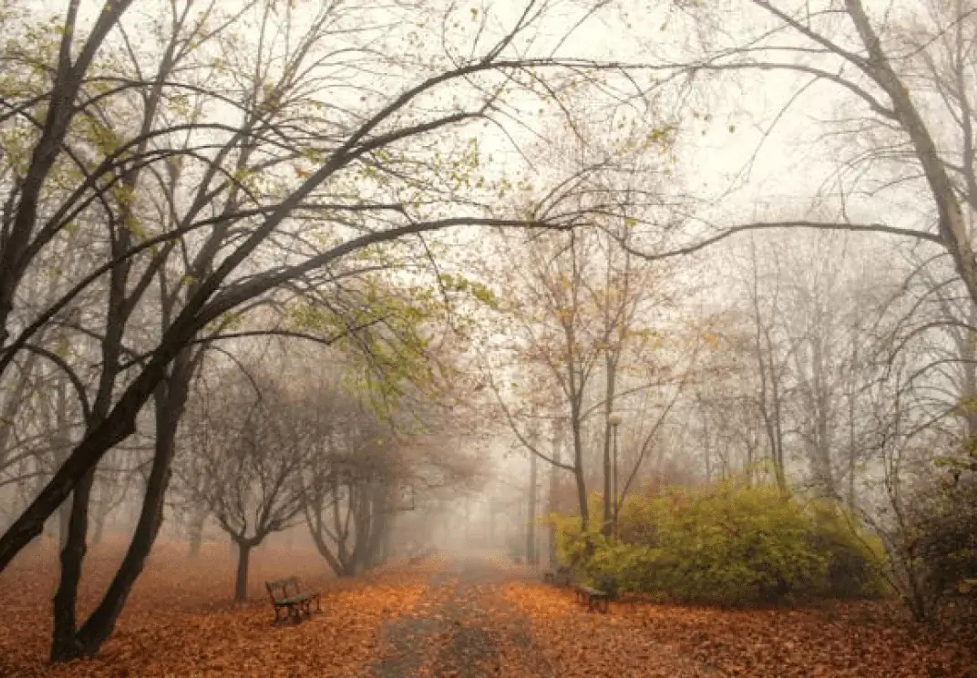 אזורים כפריים, אתרים היסטוריים סמוכים, מס תיירות, אתגר בית העירייה, בית מרקחת או חנות מכולת, פארקים לאומיים, הפיכת החיים למובחנים