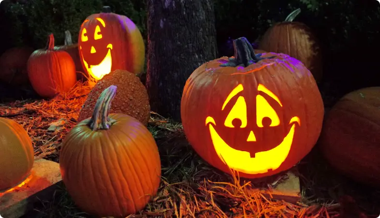 Des citrouilles lumineuses avec des visages souriants sculptés sur le sol d'automne la nuit