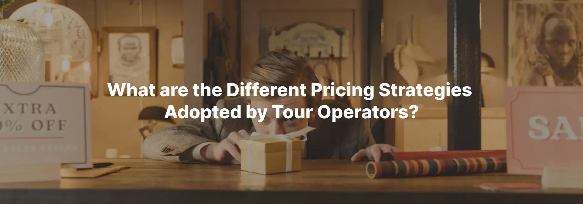 Tour Pricing Strategies: How Operators Set Prices That Sell