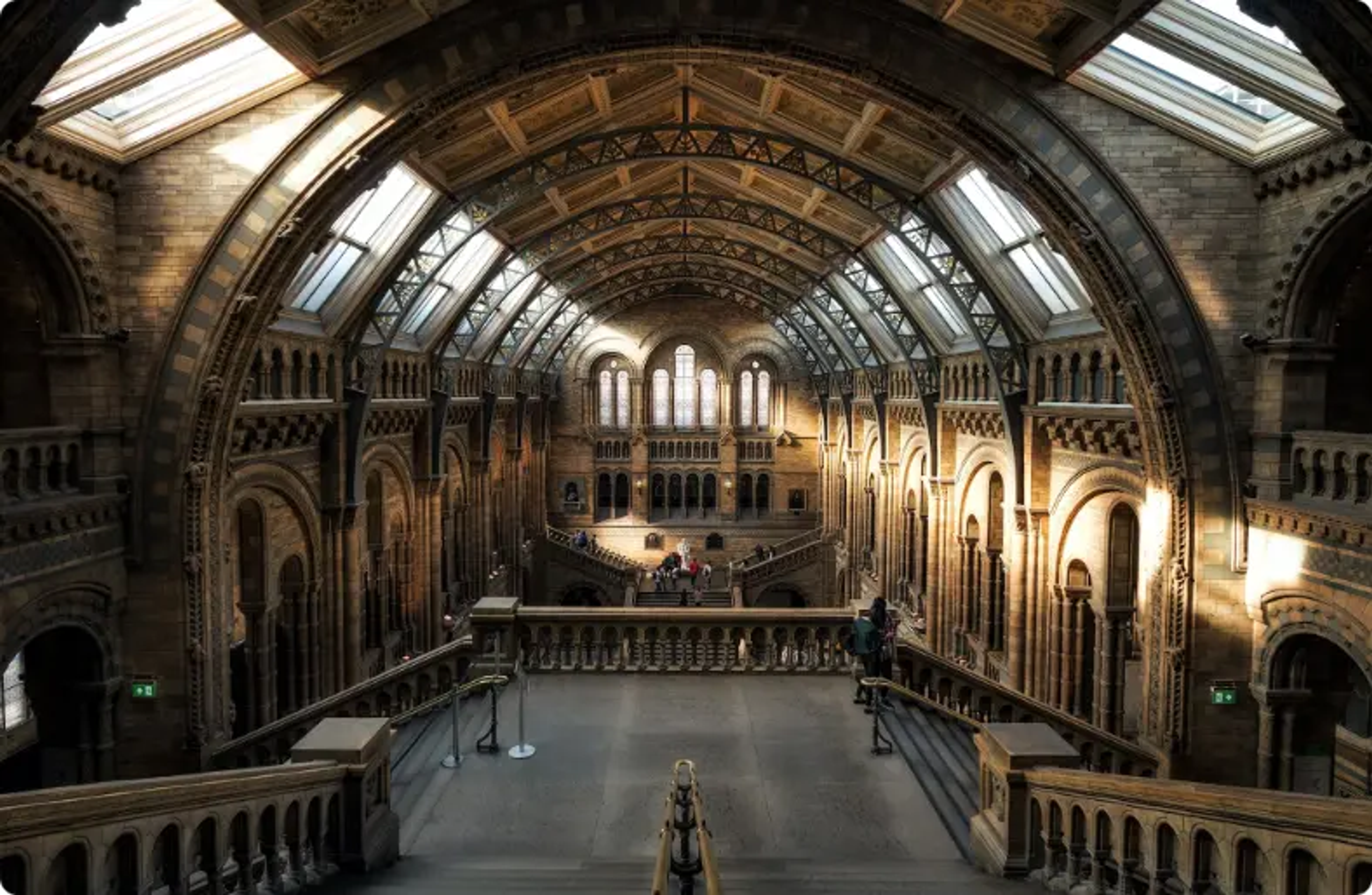 arquitectónico, museos de historia natural