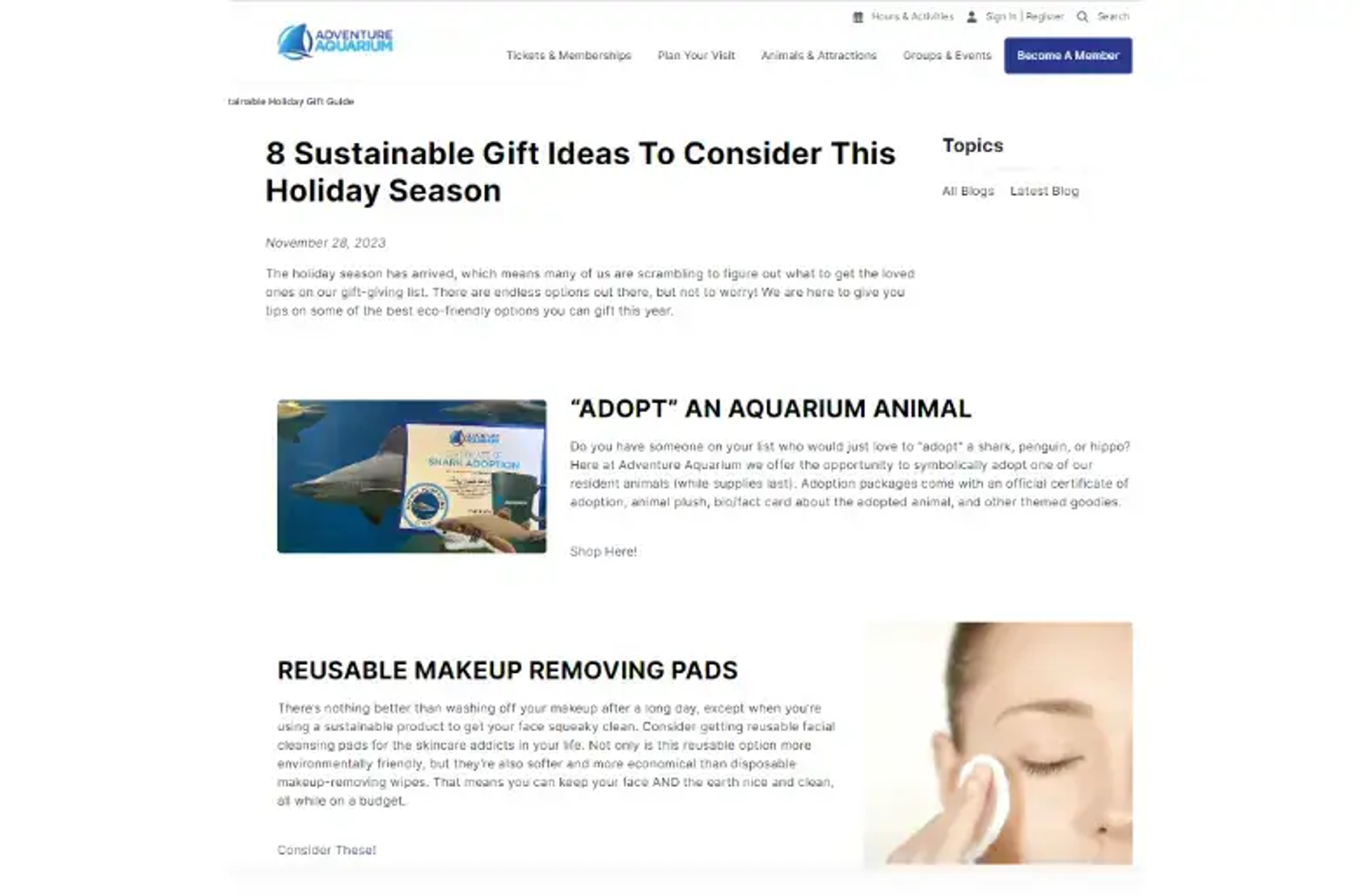 Blogside med bæredygtige gaveidéer, med fokus på akvariedyrs adoption