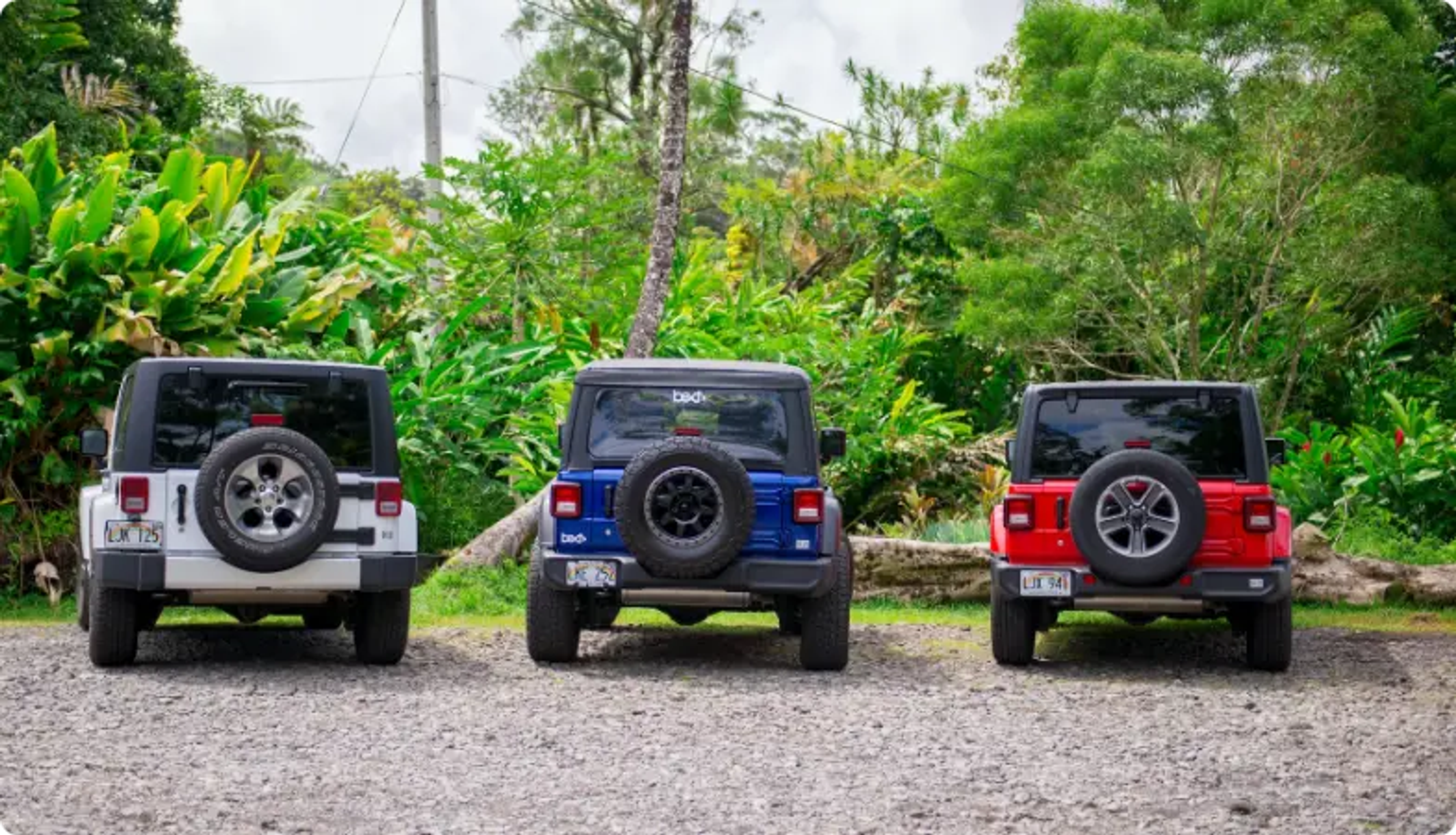 Drei Jeep Wranglers, die vor einer üppigen tropischen grünen Kulisse geparkt sind