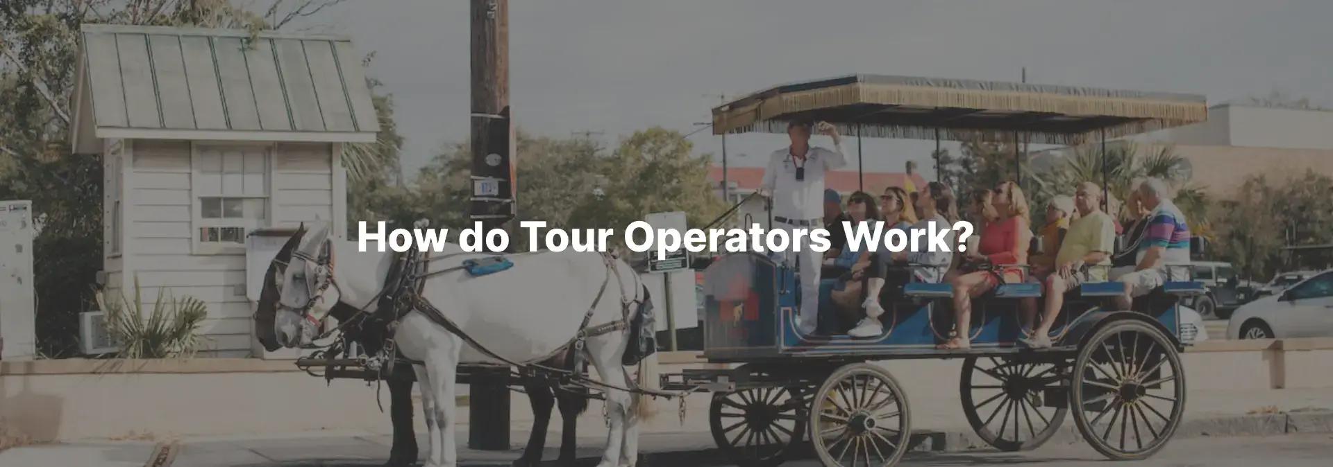 How Do Tour Operators Work?