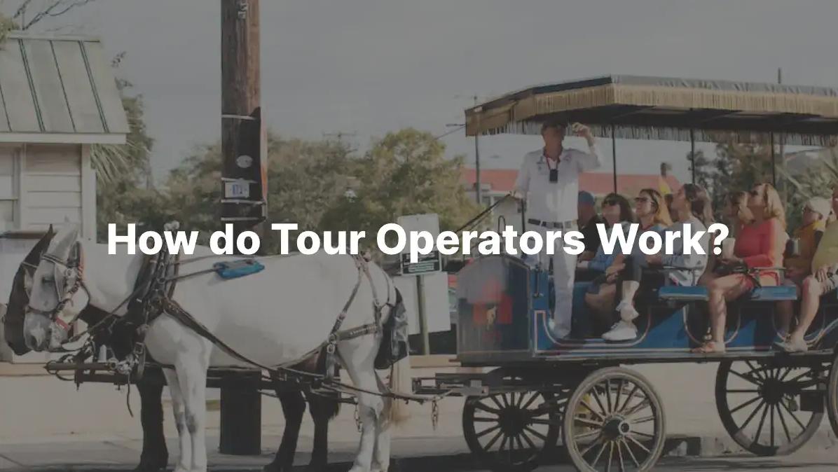 How Do Tour Operators Work?