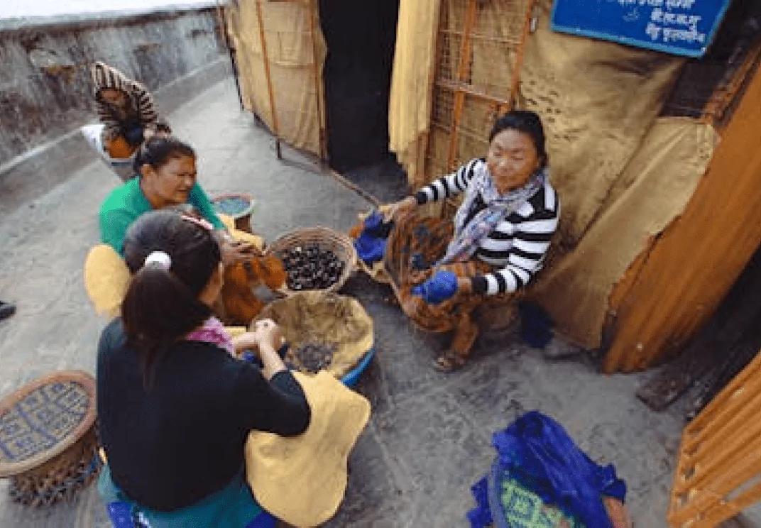 indigenous tourism, indigenous communities, tourism development, sustainable, organization