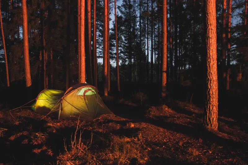 Tent in de Zweedse bossen van Kolmården