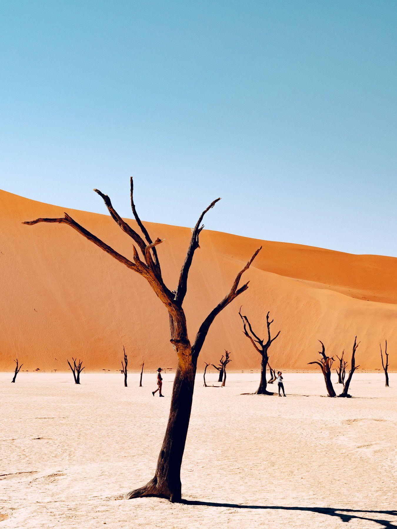 jerome-galland-namibia-LNB-004-15102019.jpg