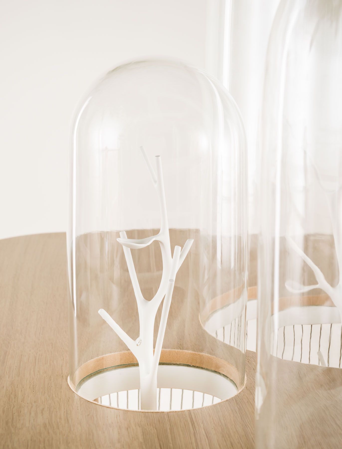 jerome-galland-stilllife-LNB-003-16032013.jpg