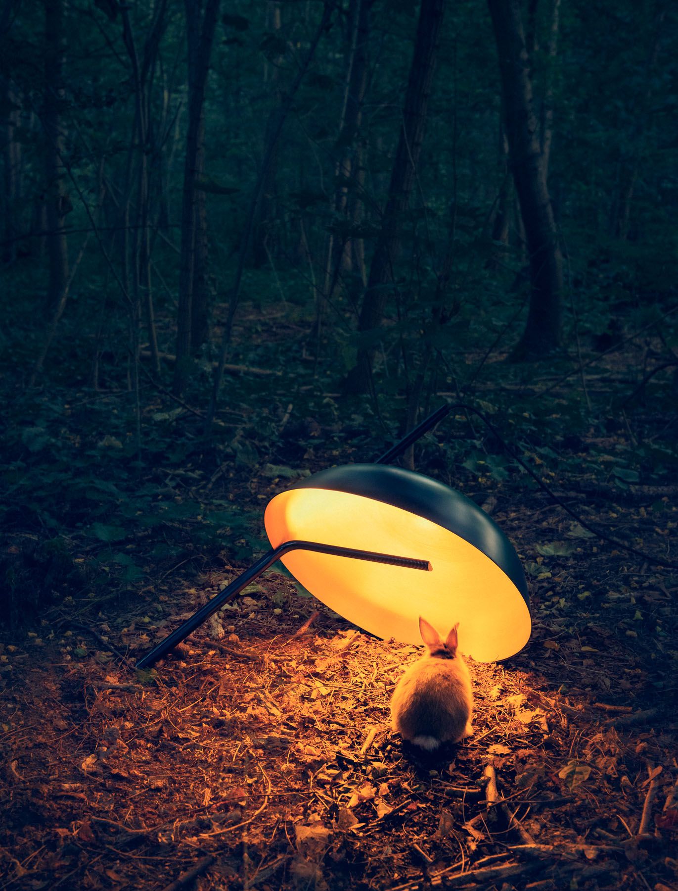 Gregoire de Lafforest, lampe Olius
