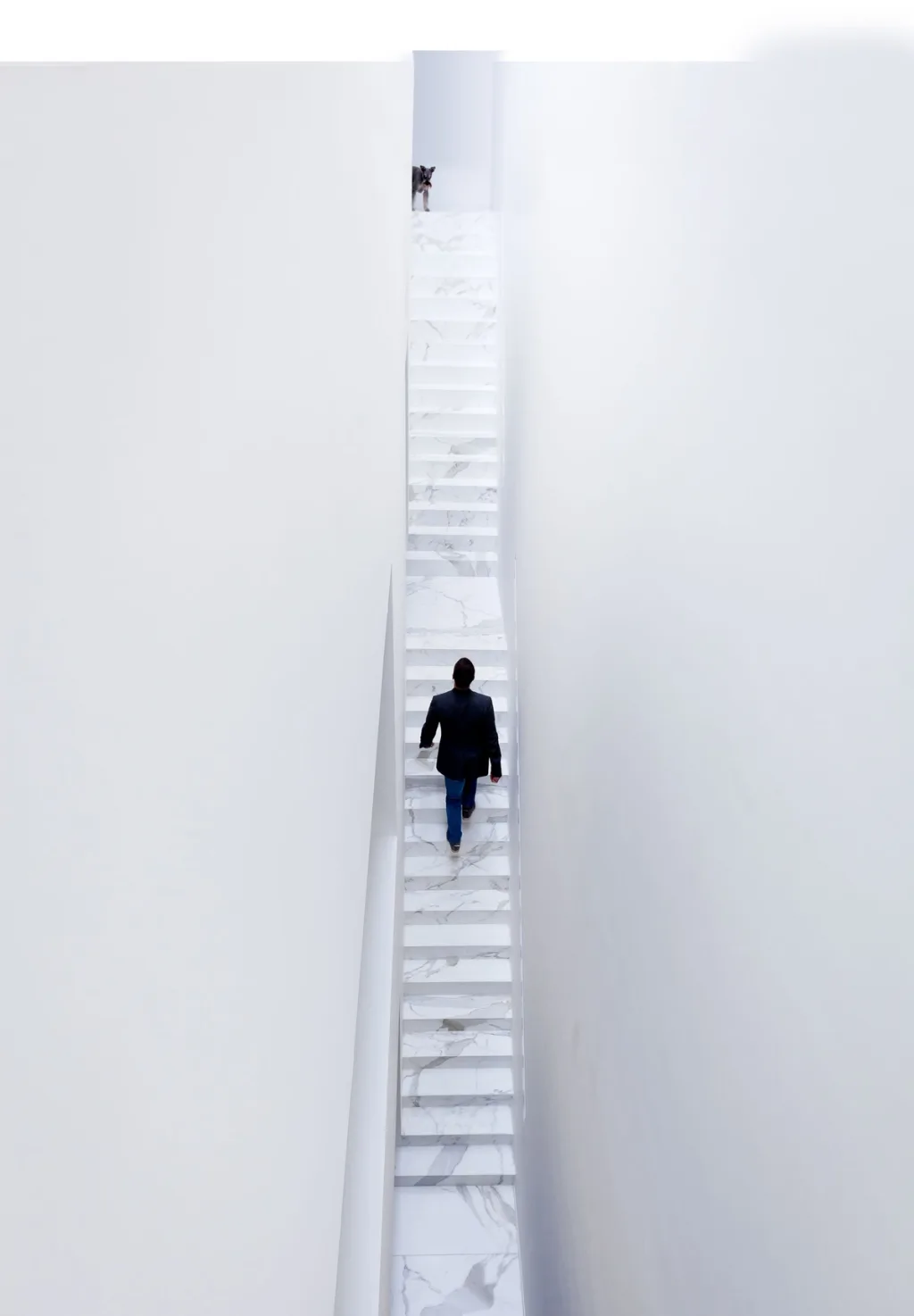 Person ascending a narrow white staircase between tall plain walls in the James Van Damme series