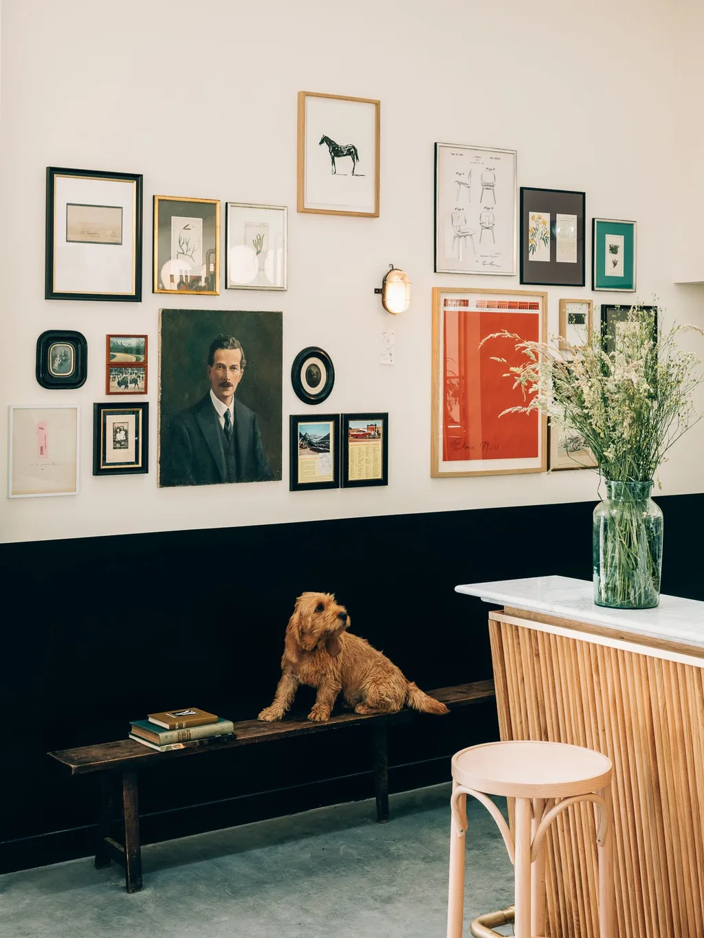 Terrier sits on a bench below a gallery wall of framed art, Le Barn hotel