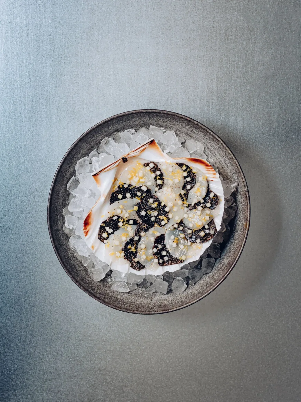 Thin seafood slices and dark garnish in a shell on ice for Cyril Lignac’s Saisons cookbook