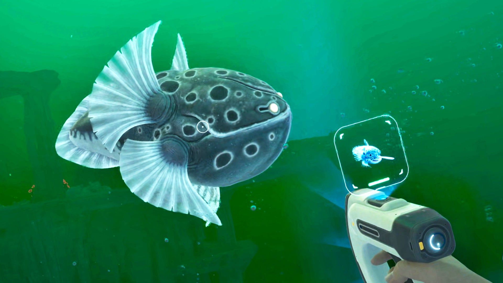 Player scanning Epicurean fish with scanner tool - non-violent interaction