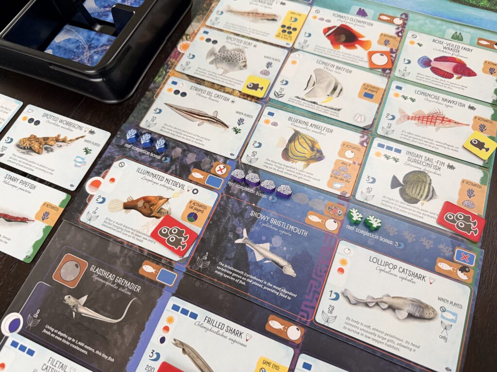 Official Finspan Sharks and Reefs completed player board