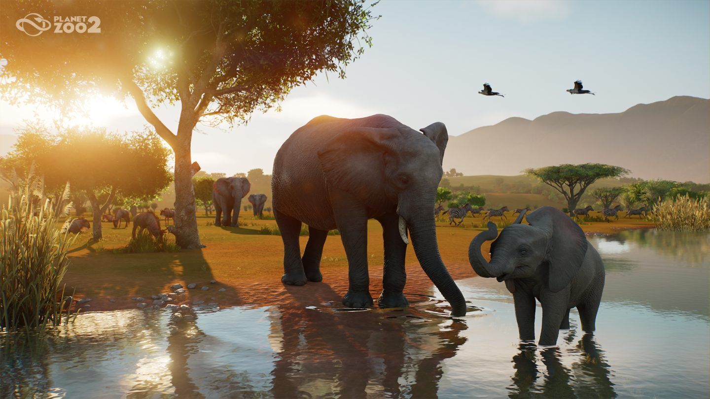 Planet Zoo 2 promotional view of a Wildlife Reserve watering hole