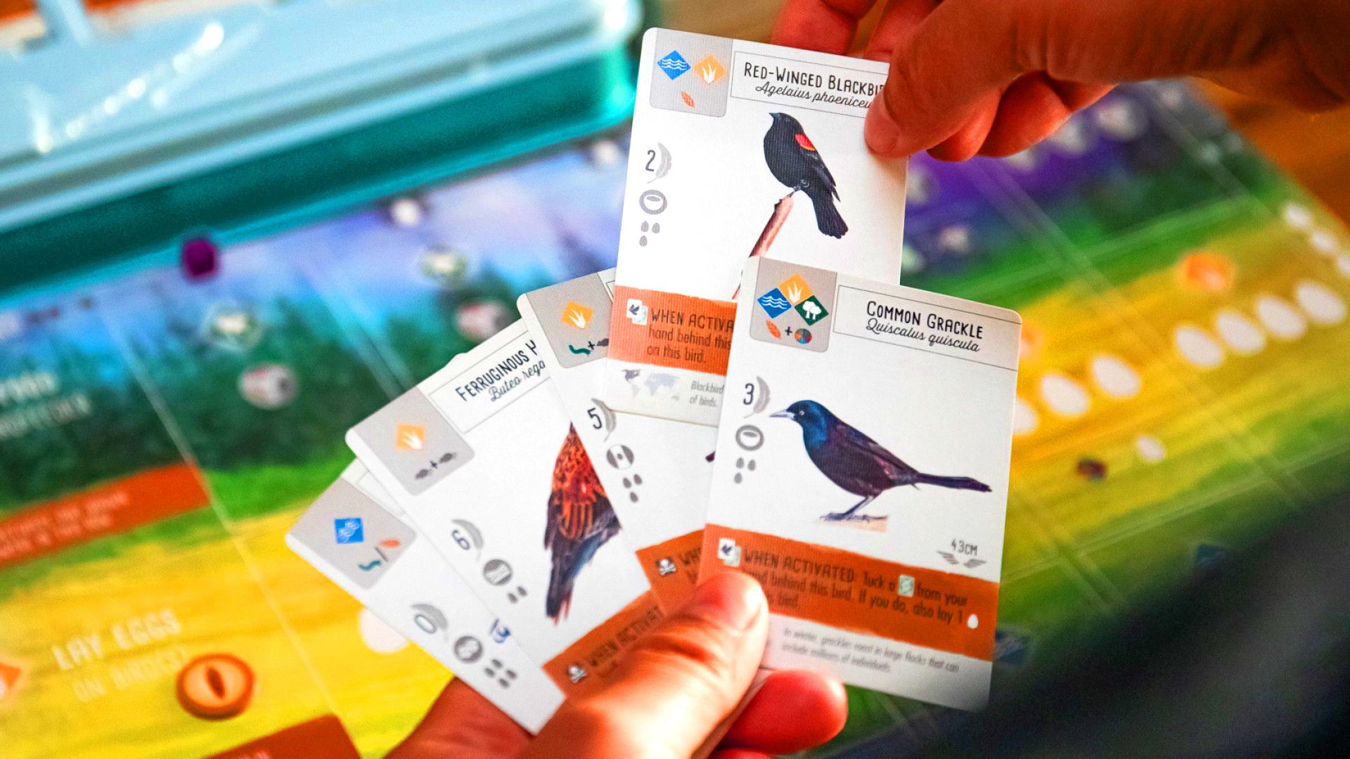 Tabletop designers push publishers, awards, retailers, and media to credit game creators by name
