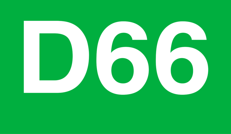D66 International