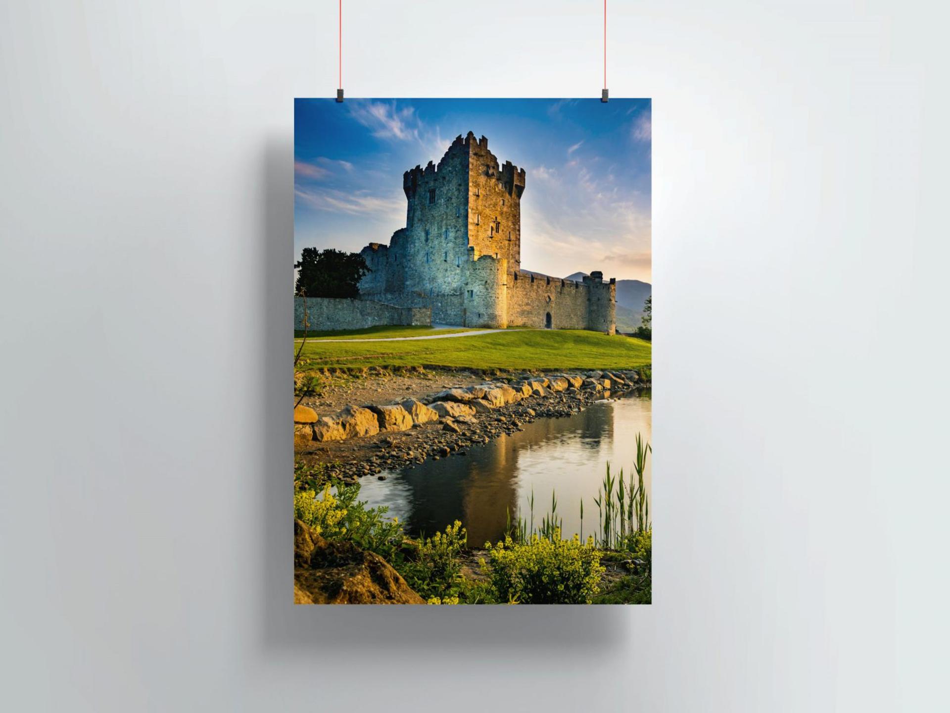 Professional Photo Printing