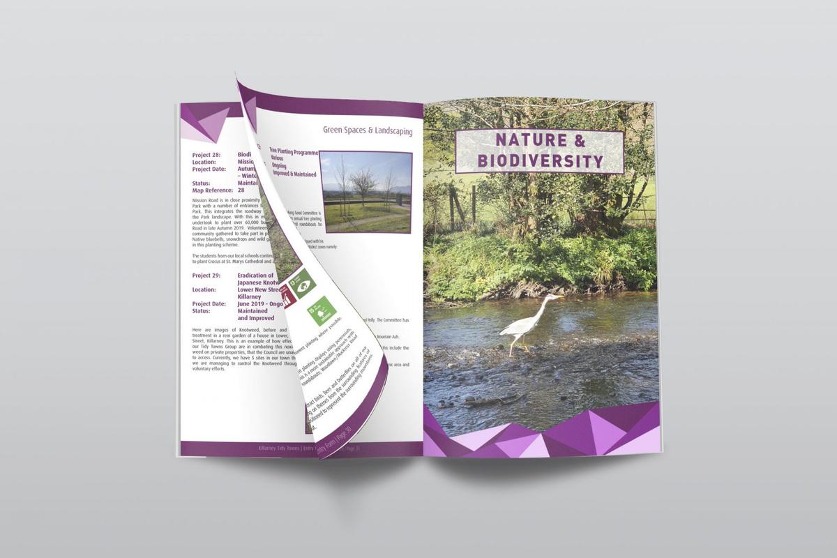 Killarney Tidy Towns Submission 2021