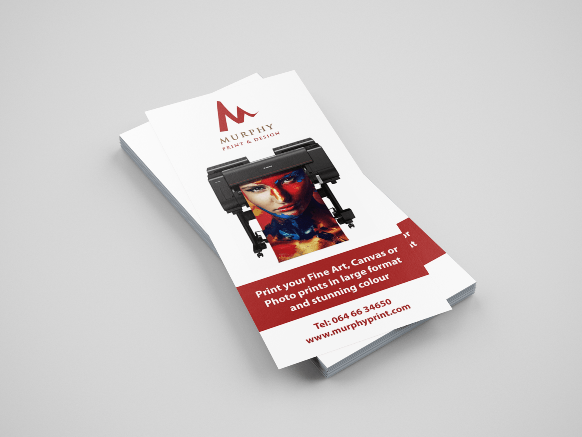 DL Flyers & Brochures
