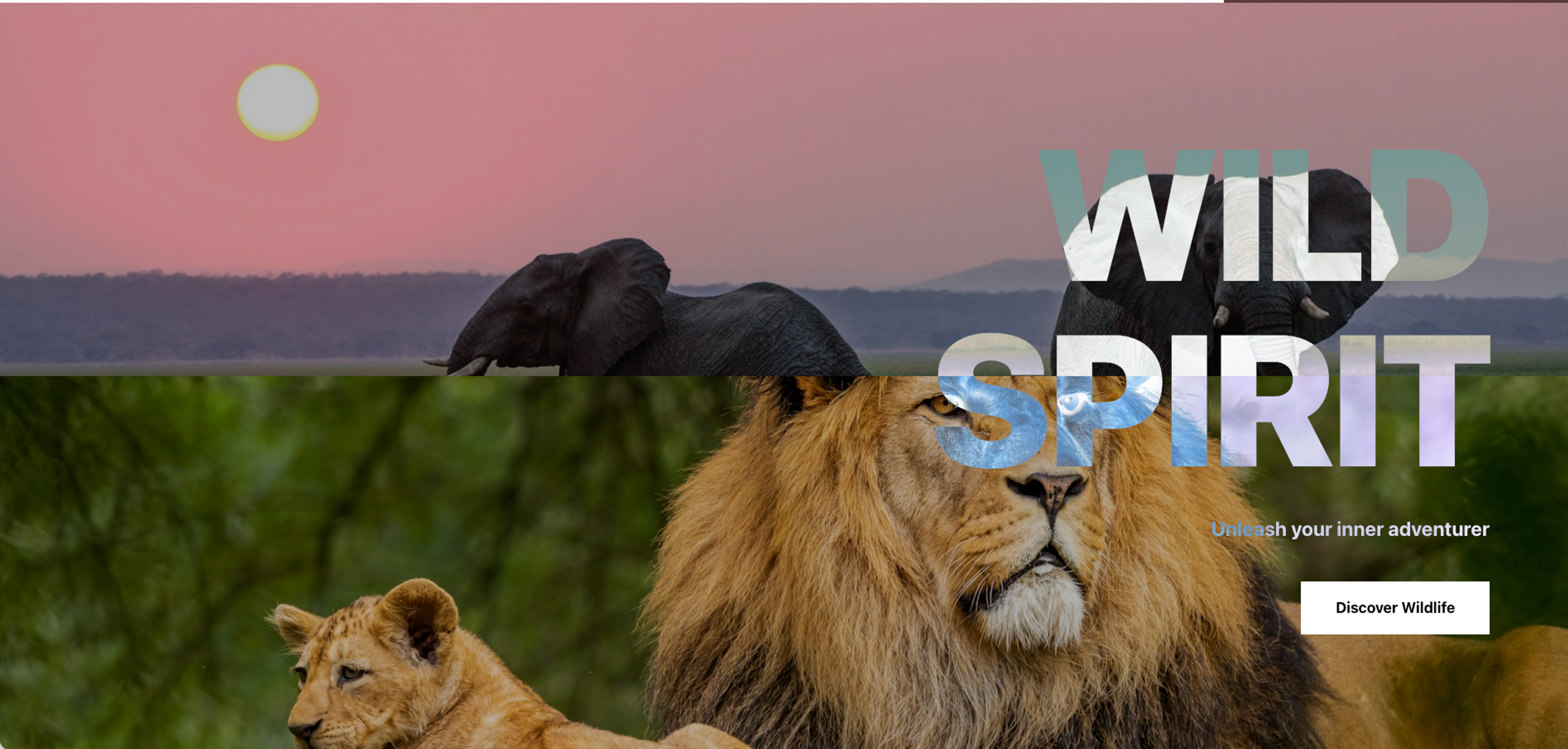 Explore Nature image 8