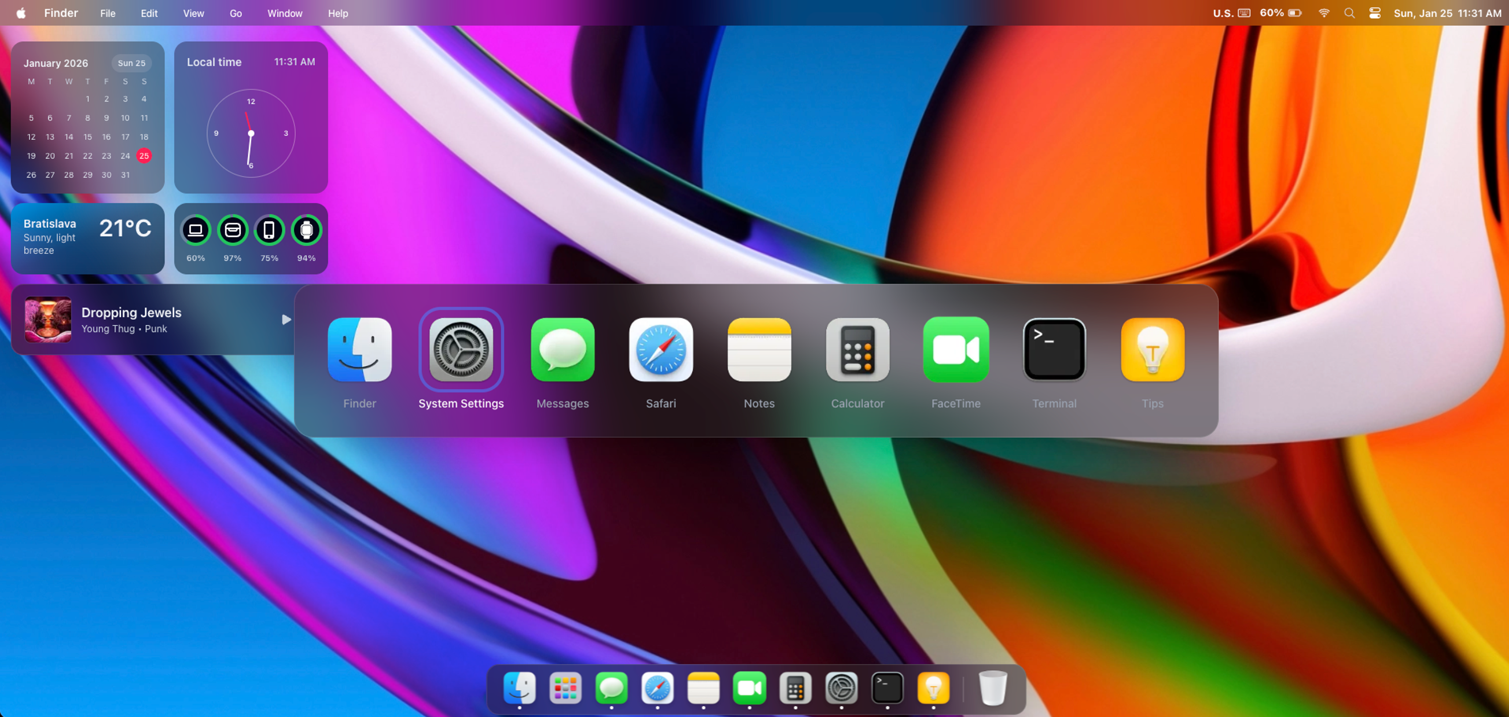 macOS Portfolio image 5
