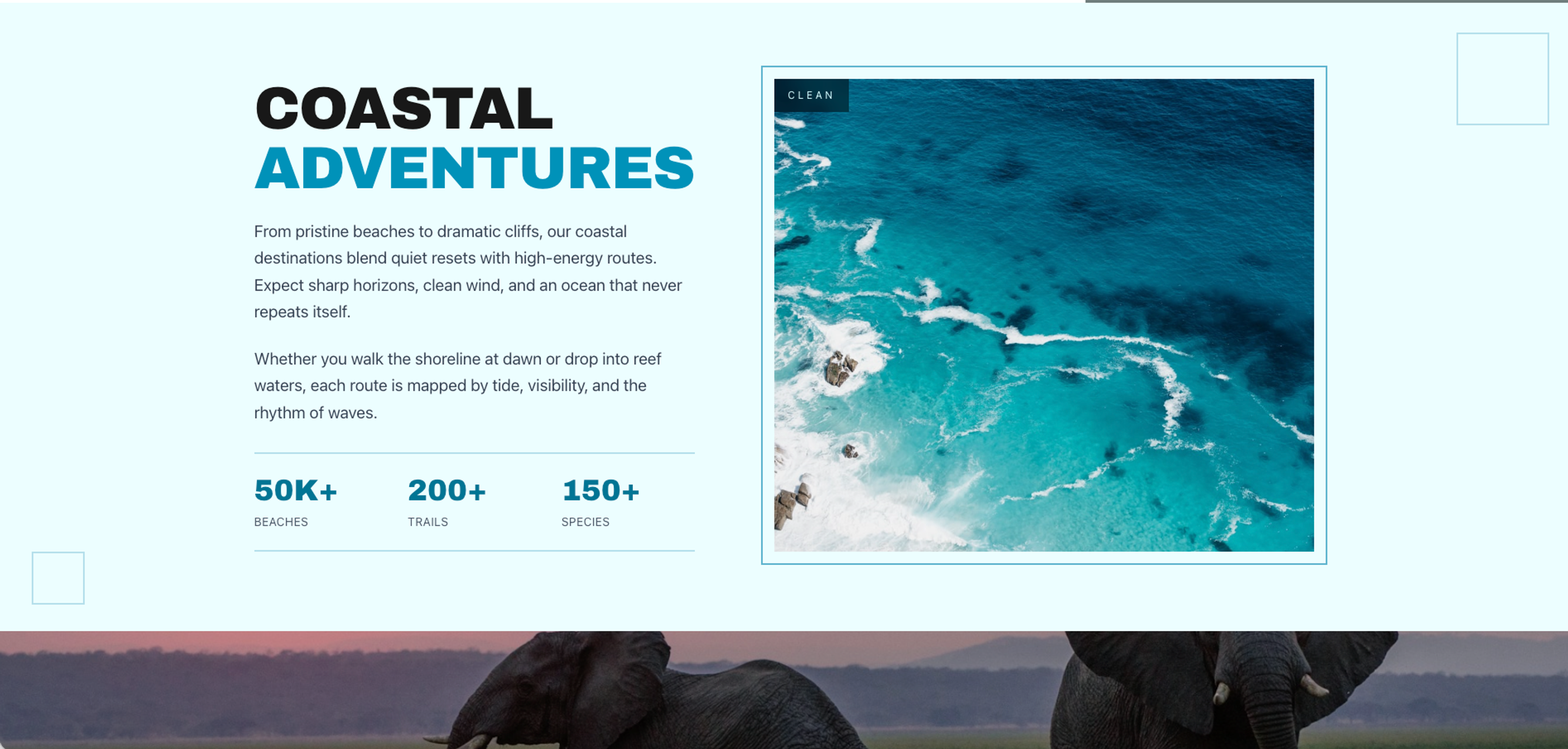 Explore Nature image 7