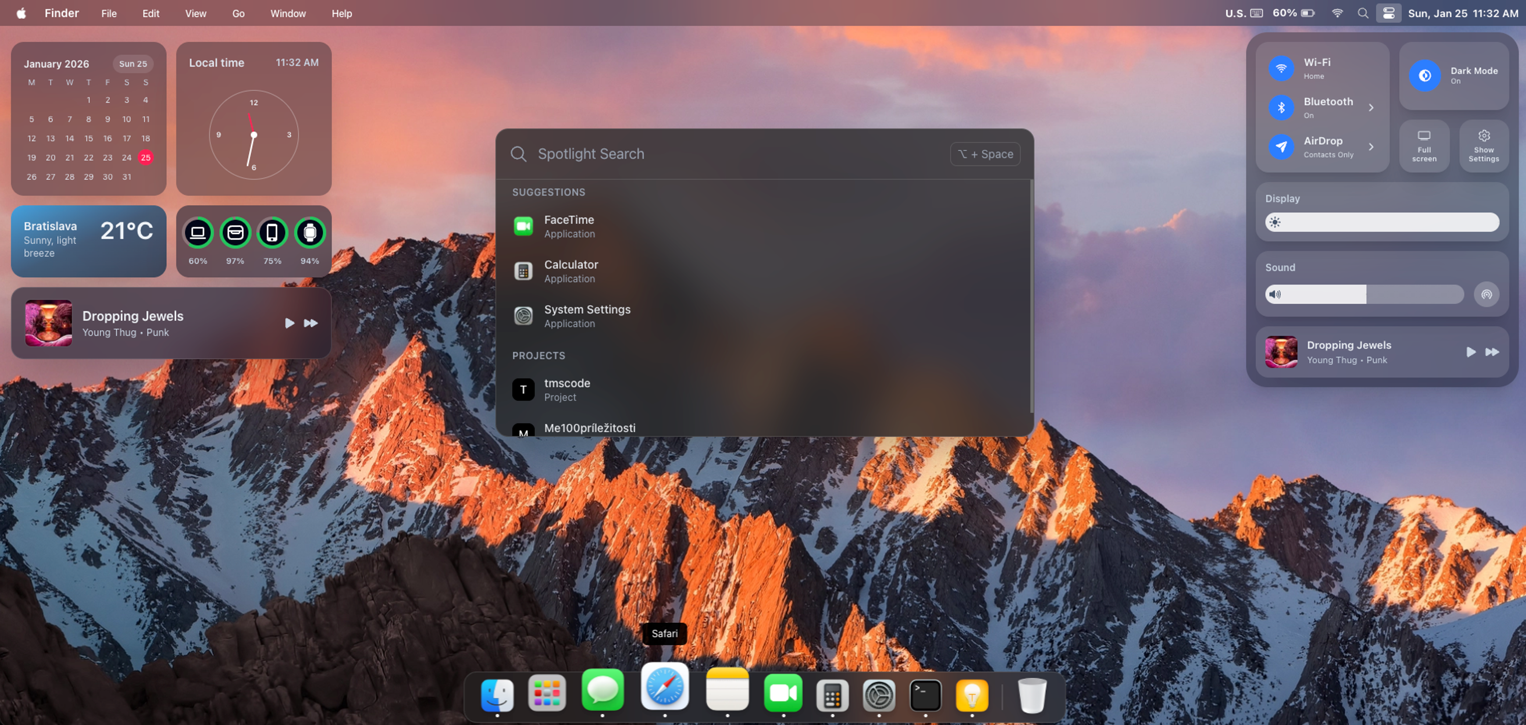 macOS Portfolio image 6