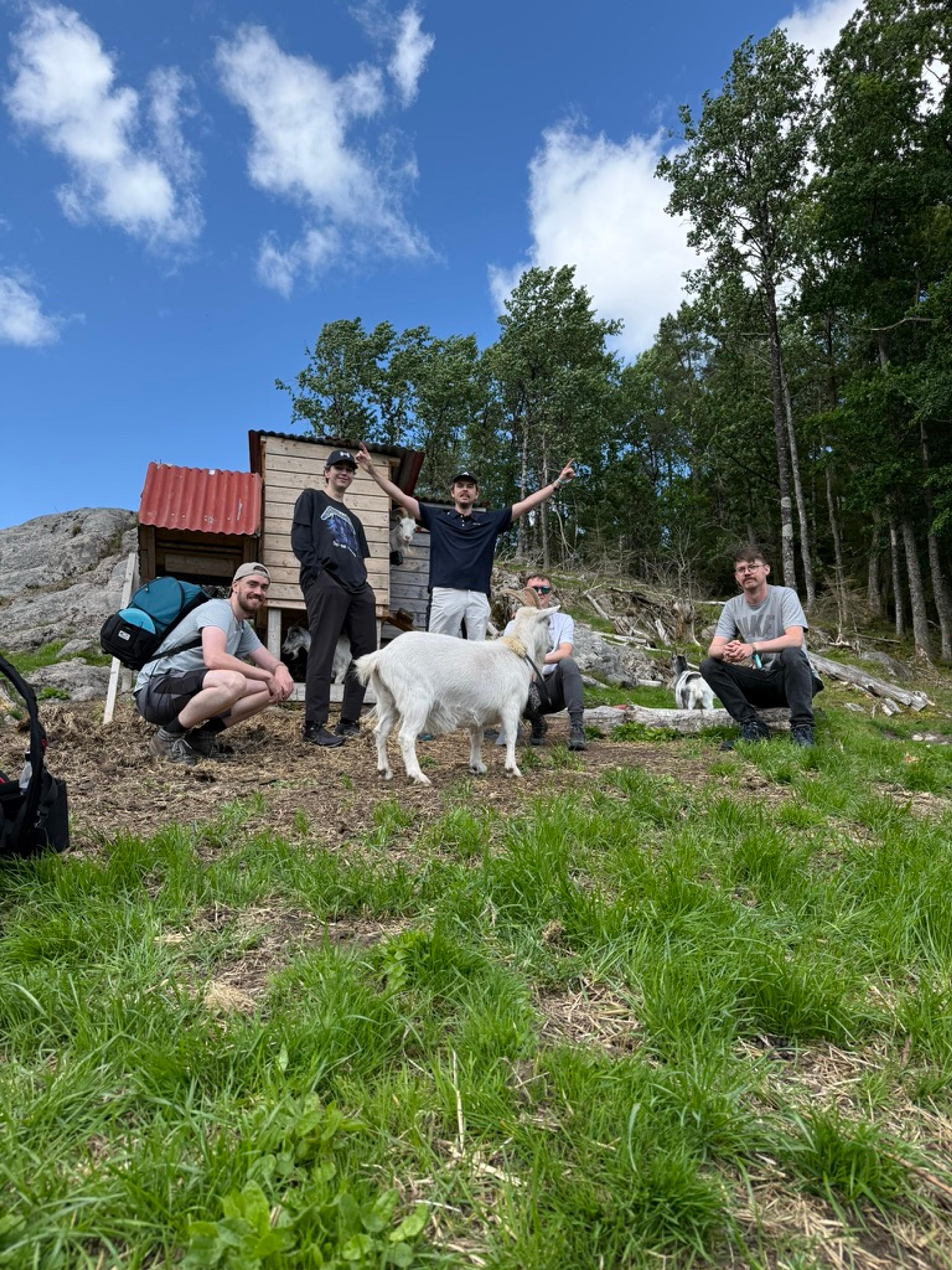 Free the disc crew posing with goats at Lille Leland