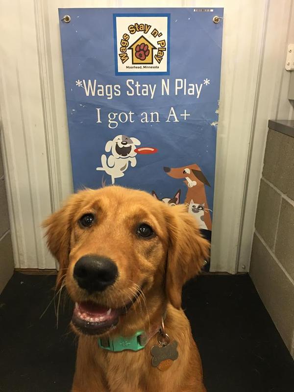 Daycare