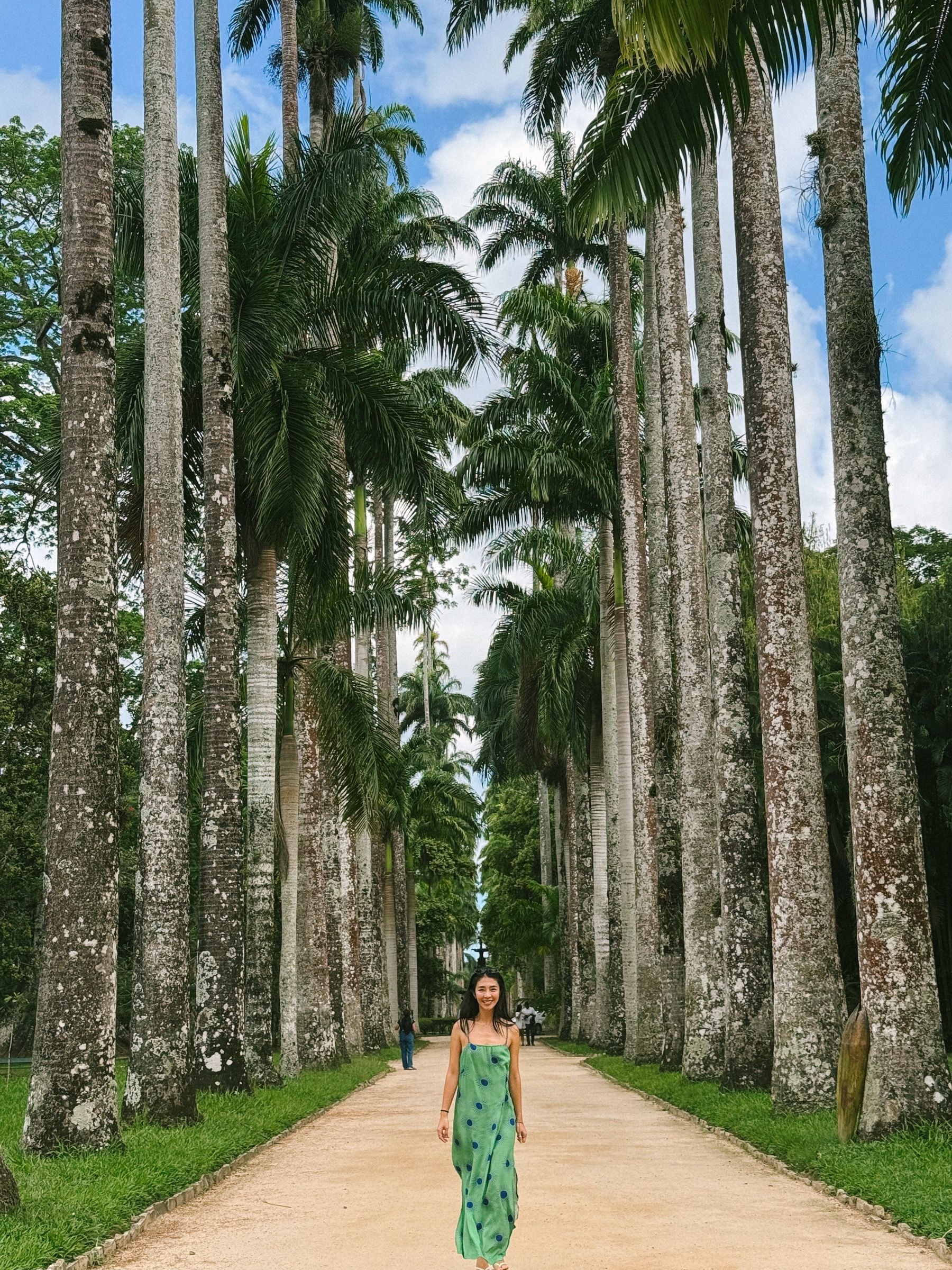 皇家棕榈大道，里约