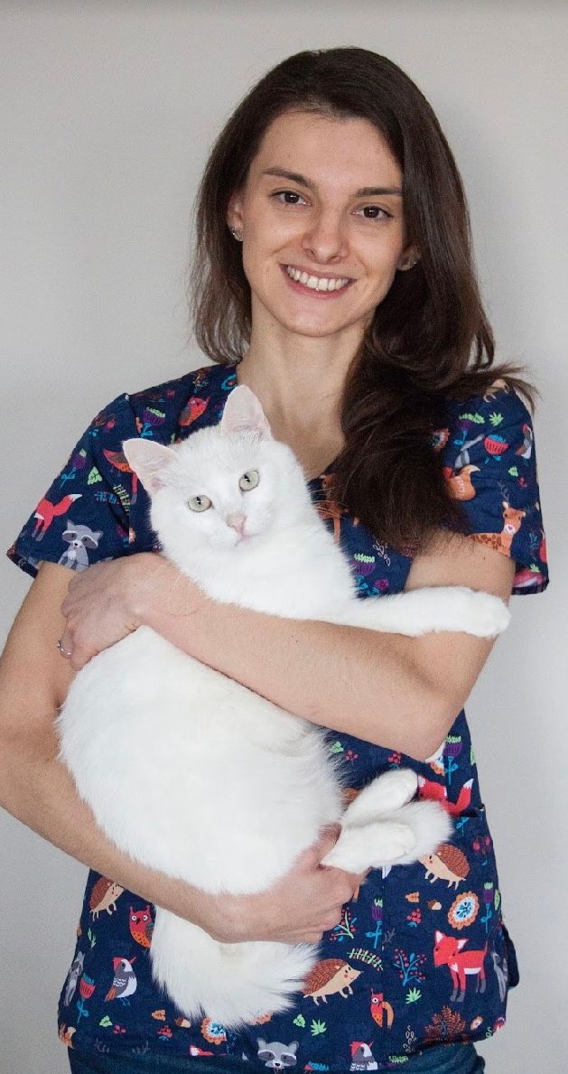 Weterynarz Magdalena Mordarska Wrocław Psie Pole, weterynarz USG, Przychodnia weterynaryjna Vena
